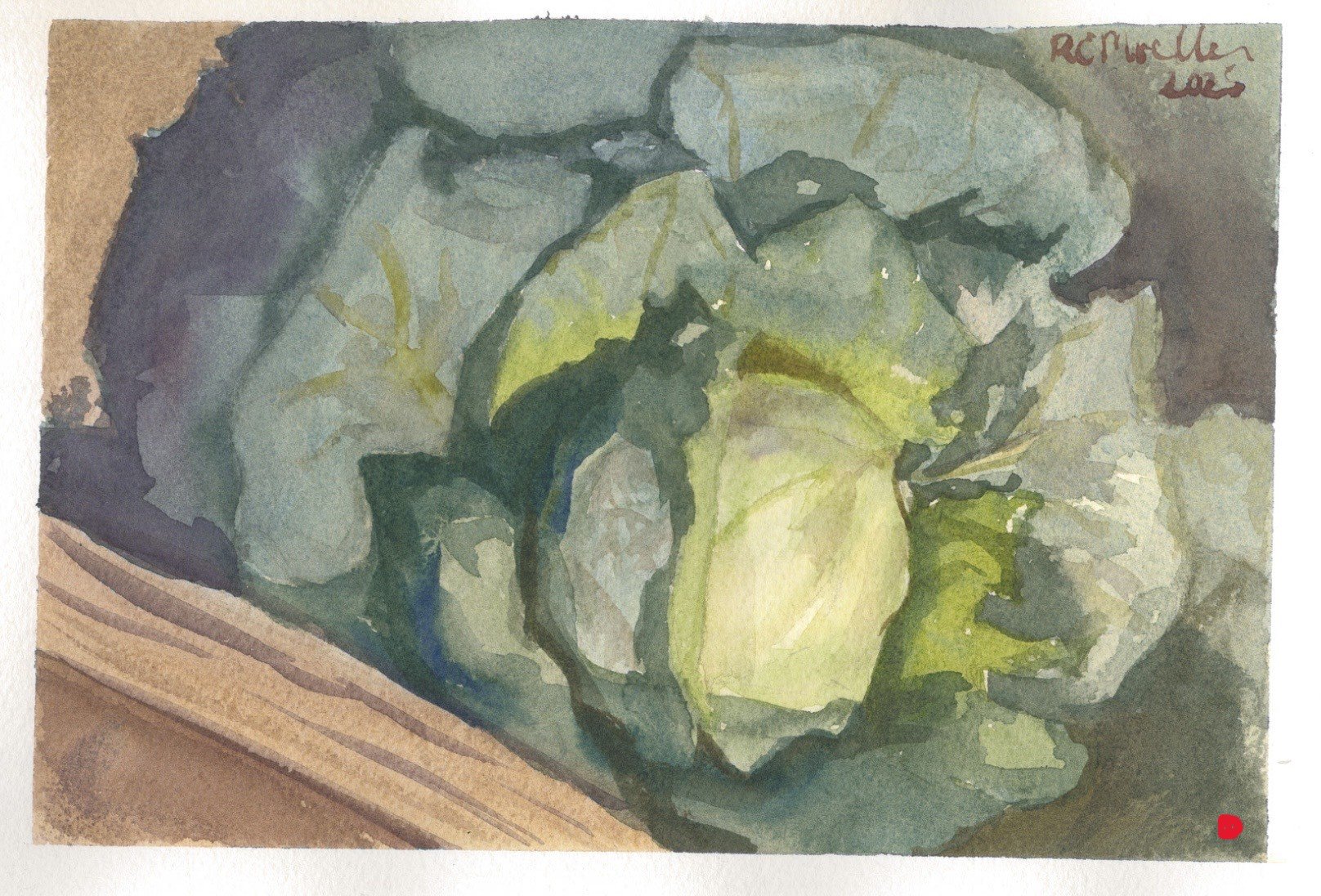 "Garden Cabbage," 5x8, SOLD