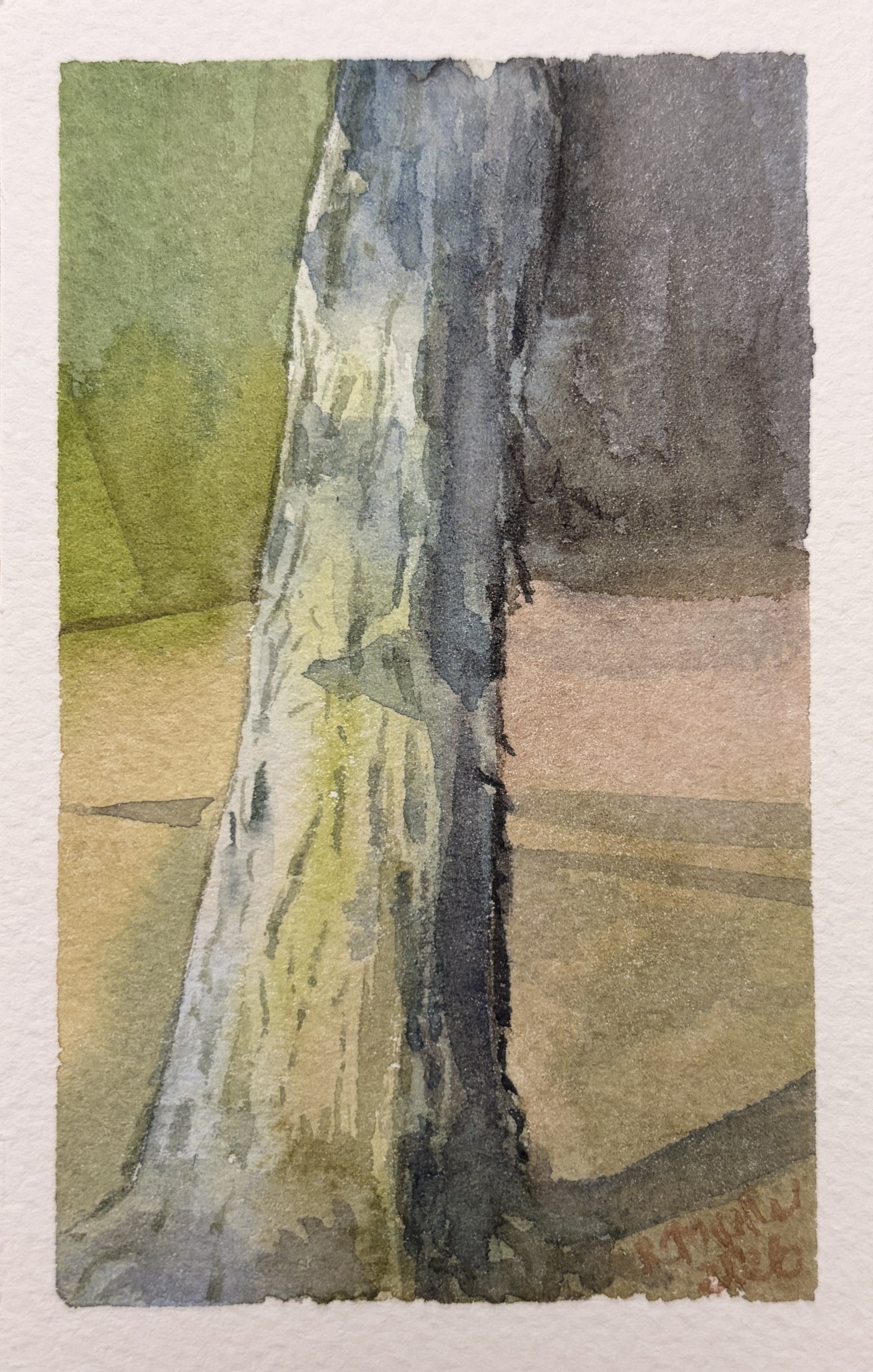 "Tree Trunk Study," 2x4, $15