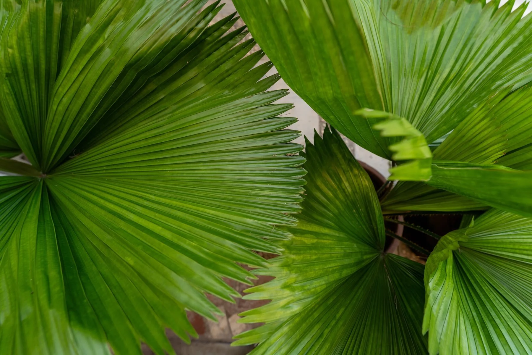 _DSC0473_2.jpeg
