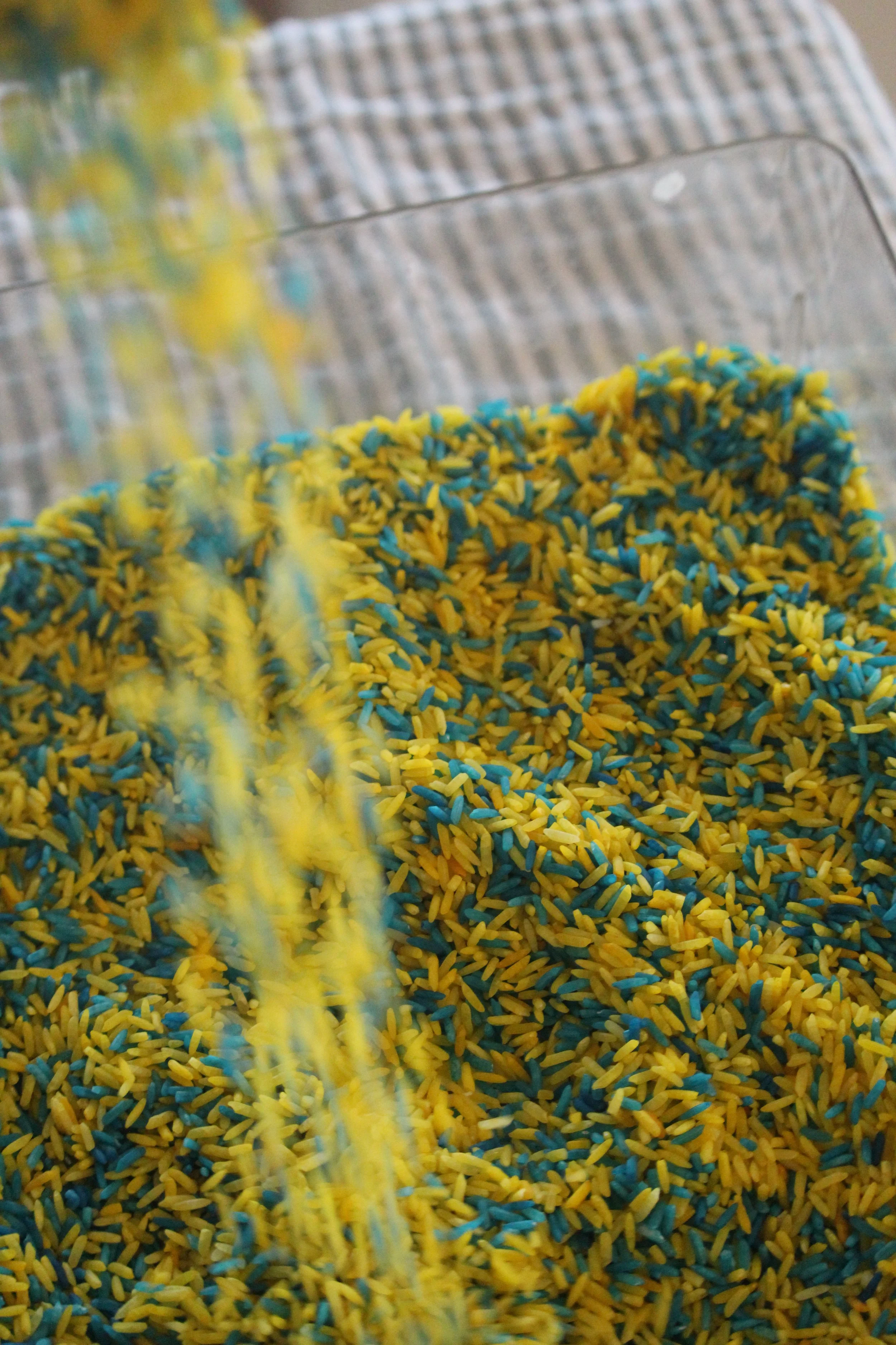Basic blue and yellow rice