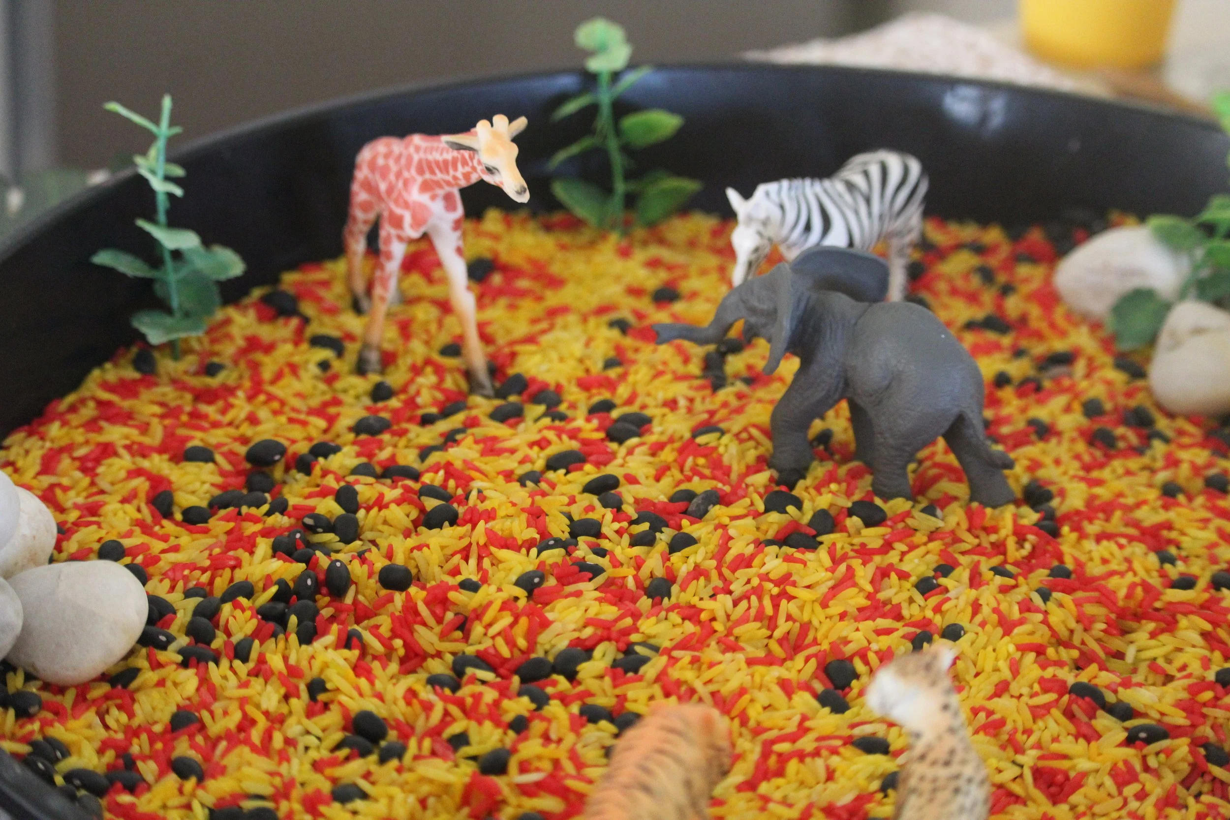 Safari Surprise