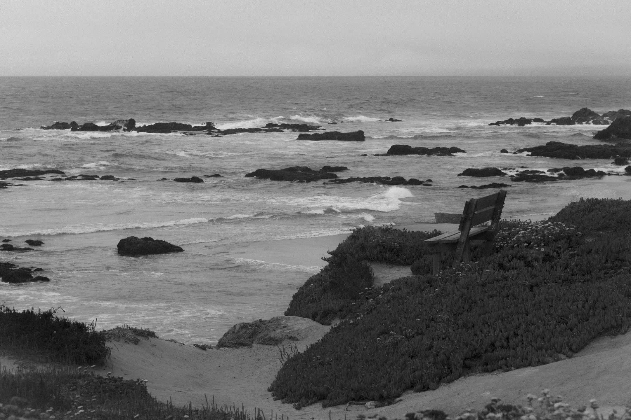 SCRL_0094.JPG