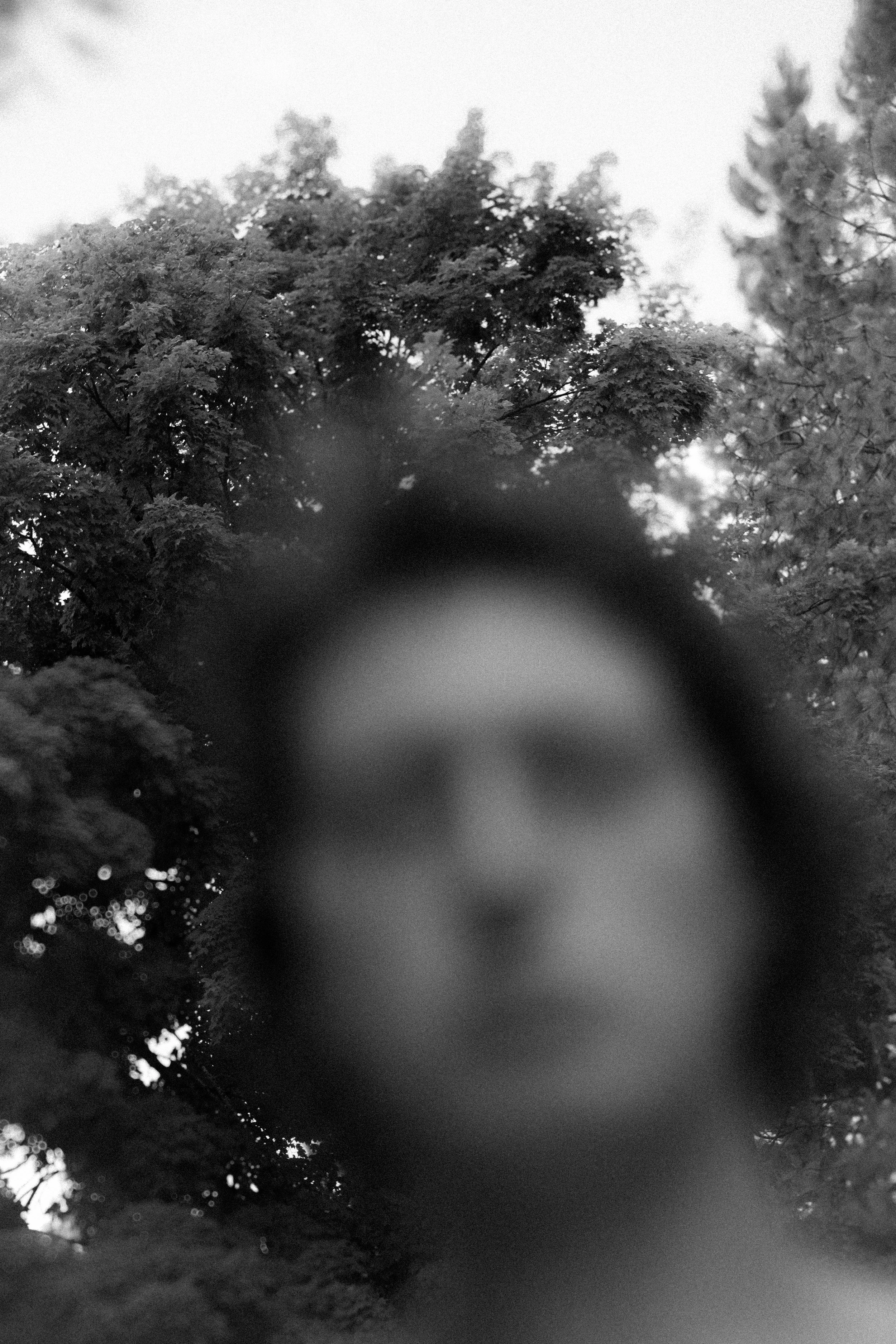 Bird Shoot Oliver-2.jpg