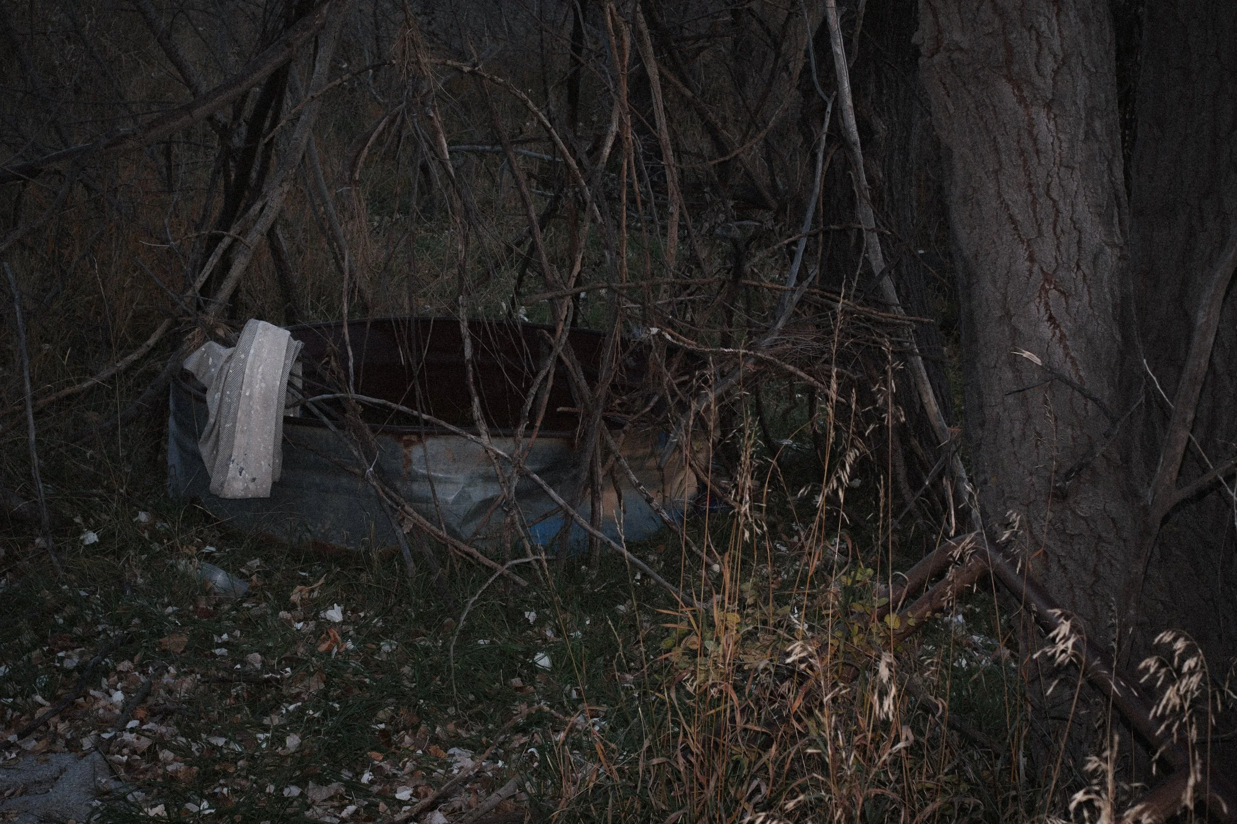 Text and Image-3.jpg