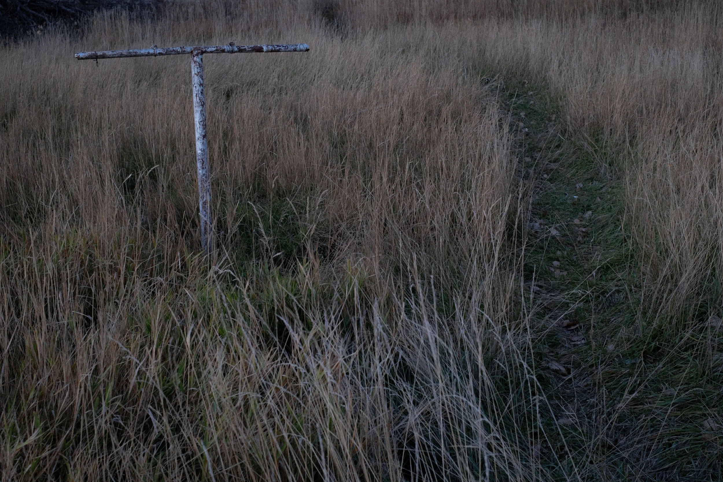 Text and Image-2.jpg