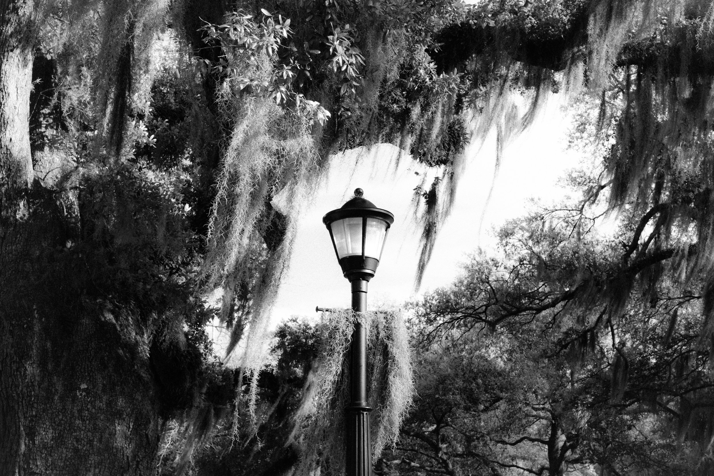 Lousiana with Estelle-2.jpg