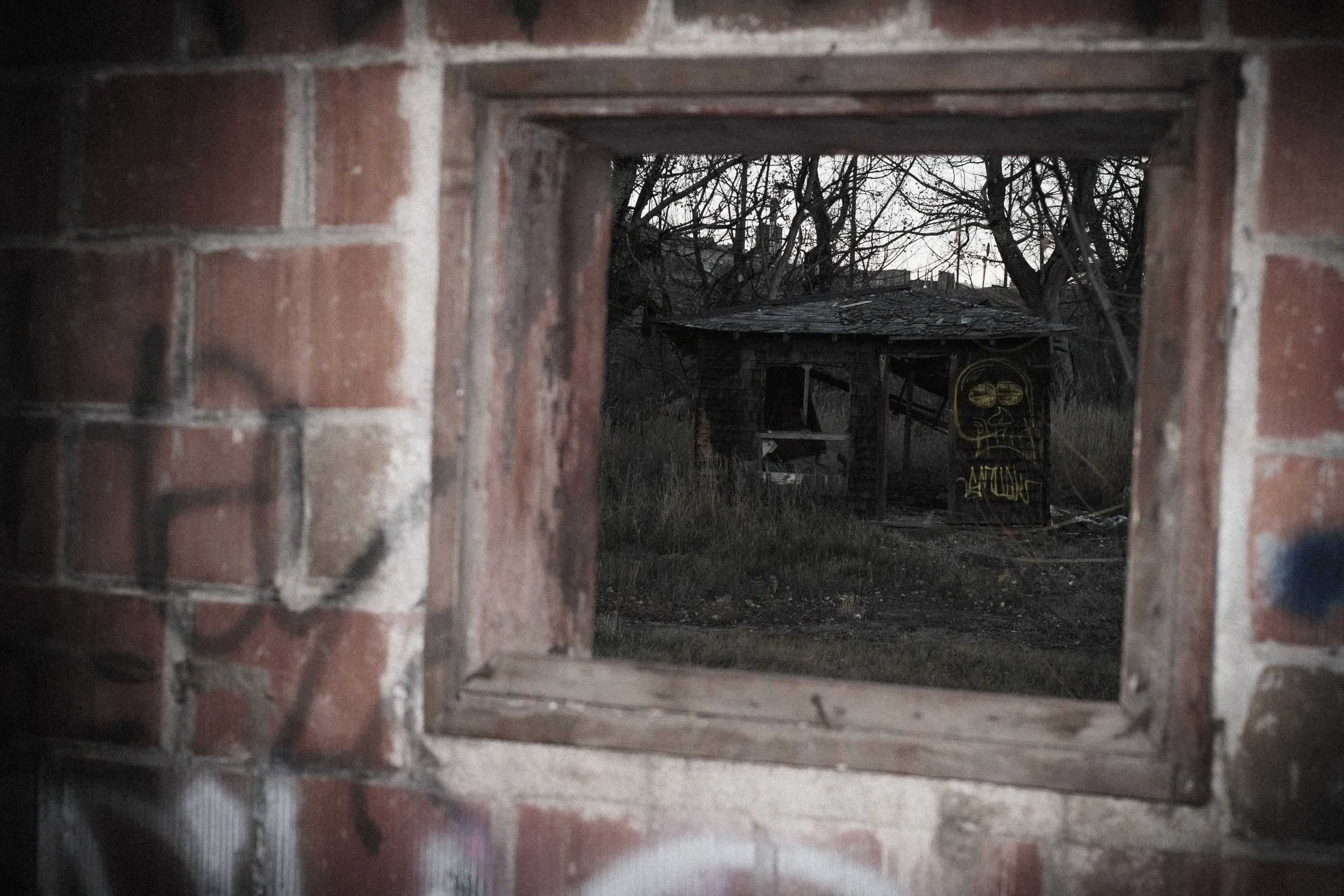 Text and Image-1.jpg