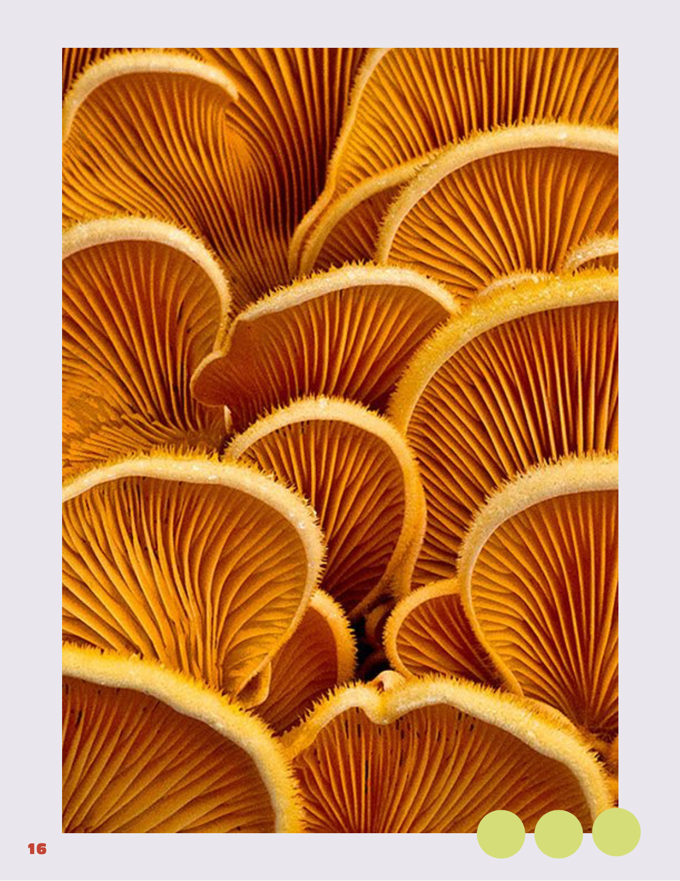 Screenshot 2026-04-18 at 5.59.48 PM.png