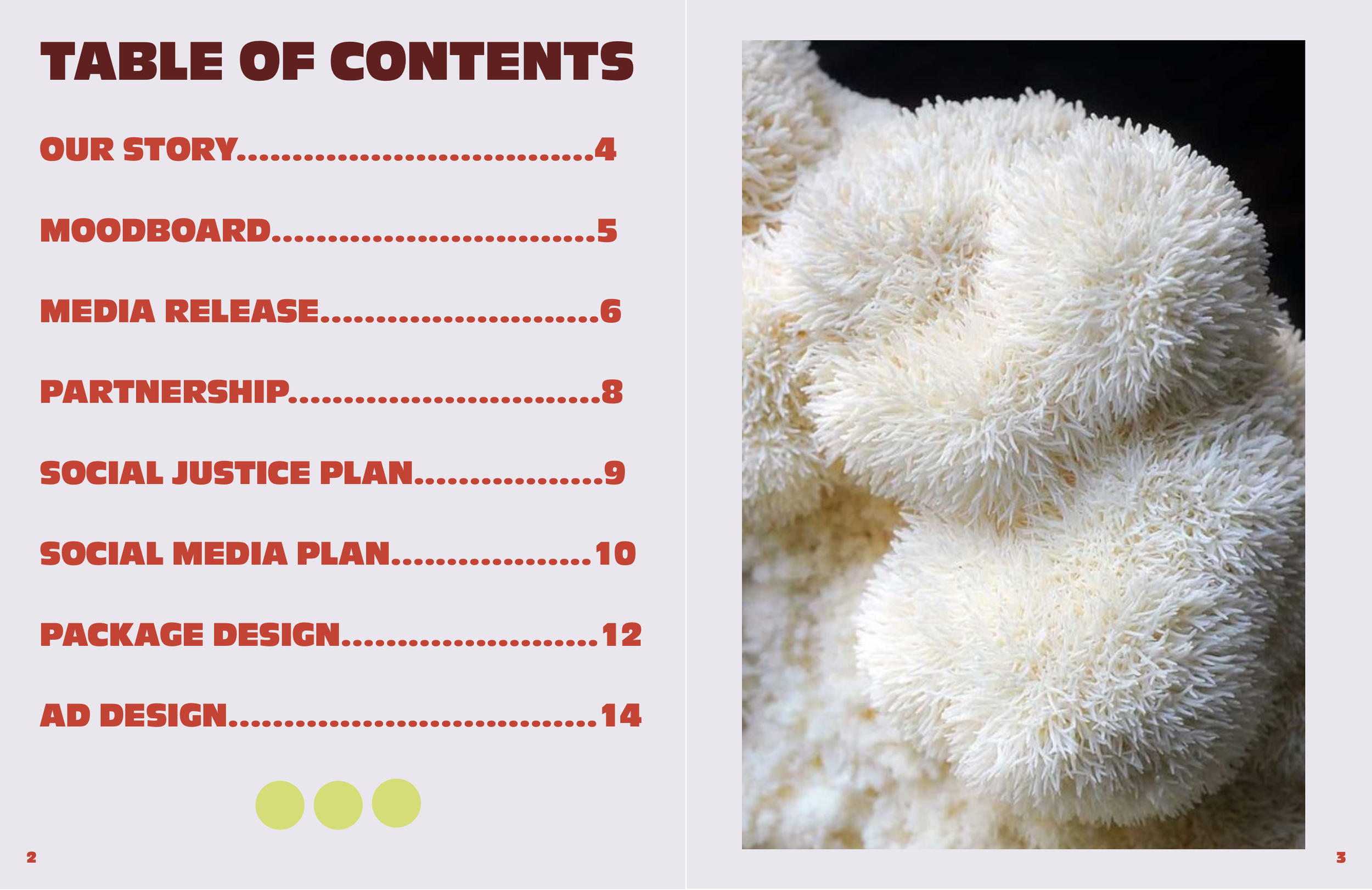 Screenshot 2026-04-18 at 5.58.11 PM.png