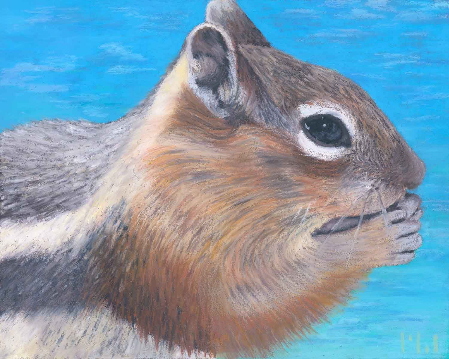 Giclée Art Print - Chipmunk at Sapphire Point