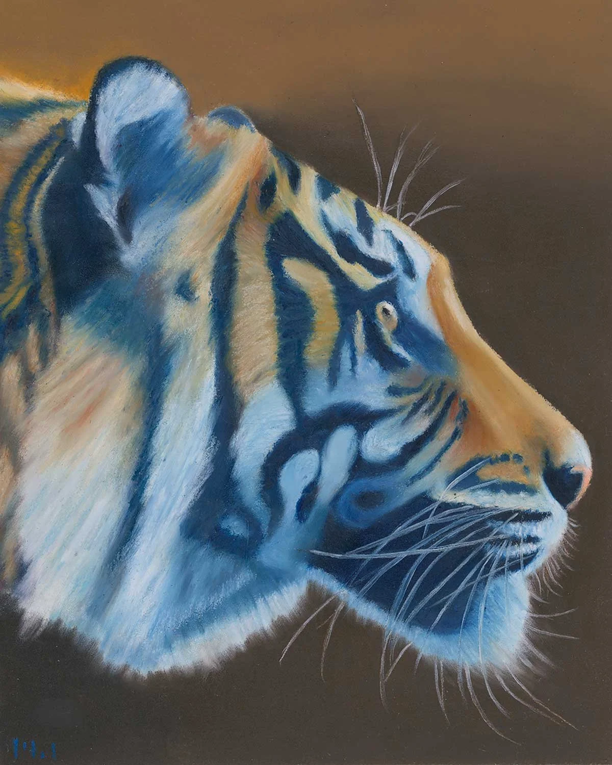 Blue Tiger