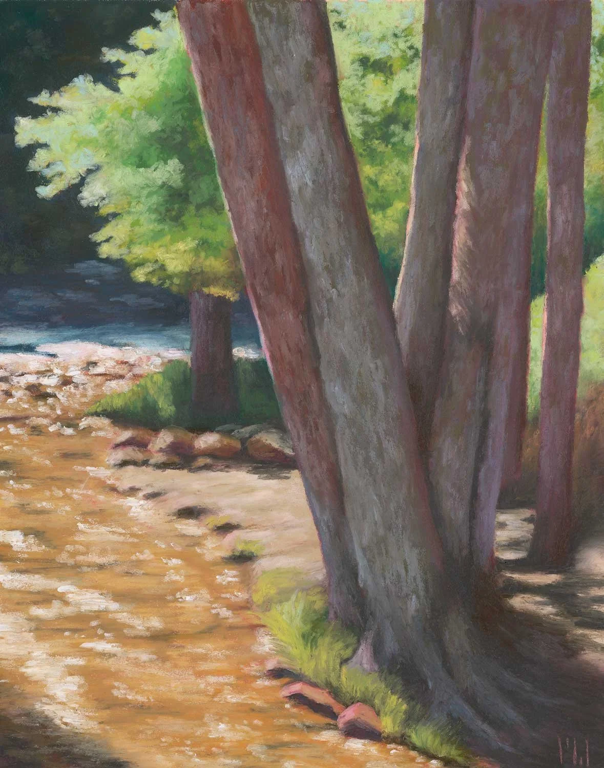 A Stroll Along The Creek