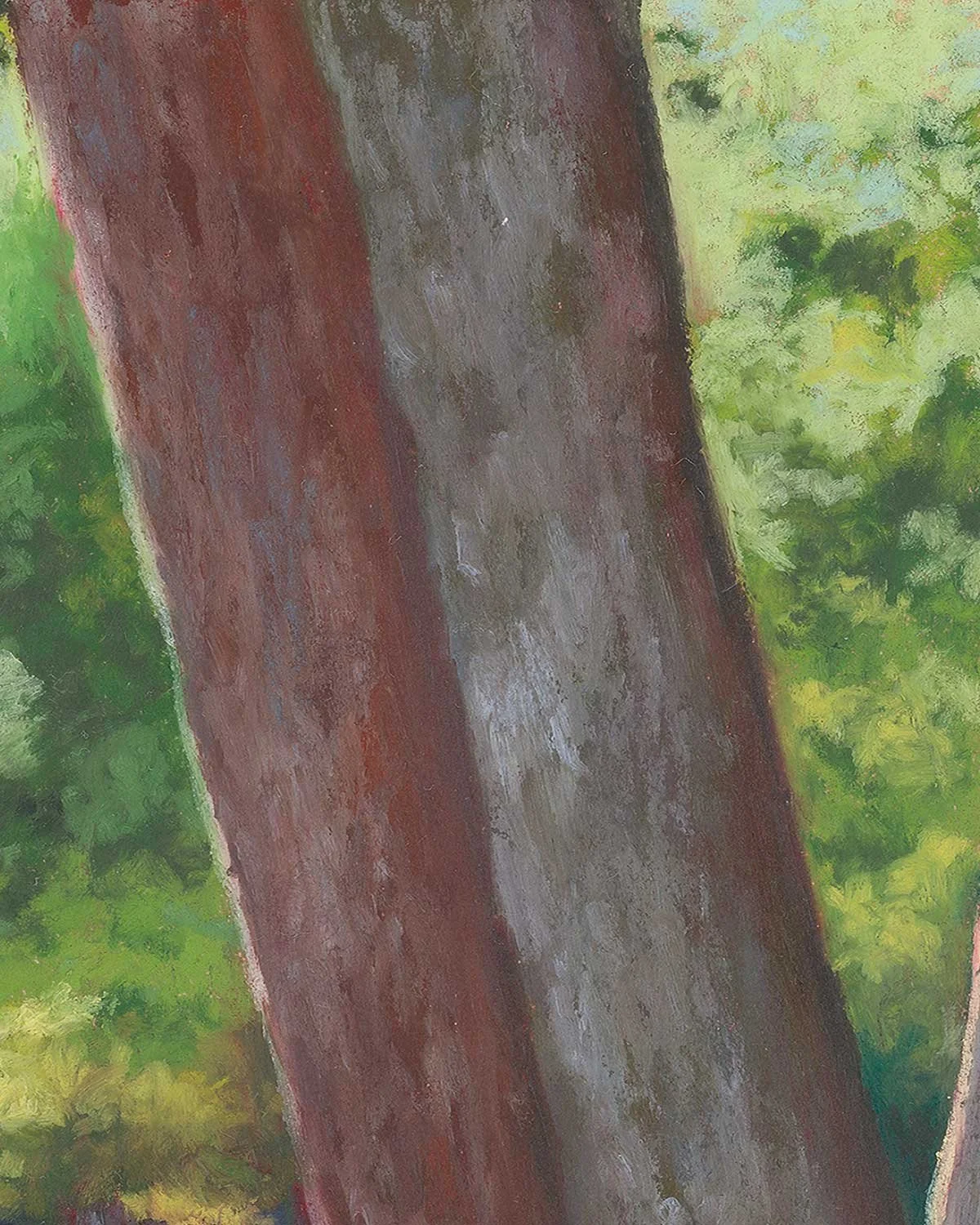 A close up of an oil pastel painting of a group of trees by a stream in Vail, Colorado.