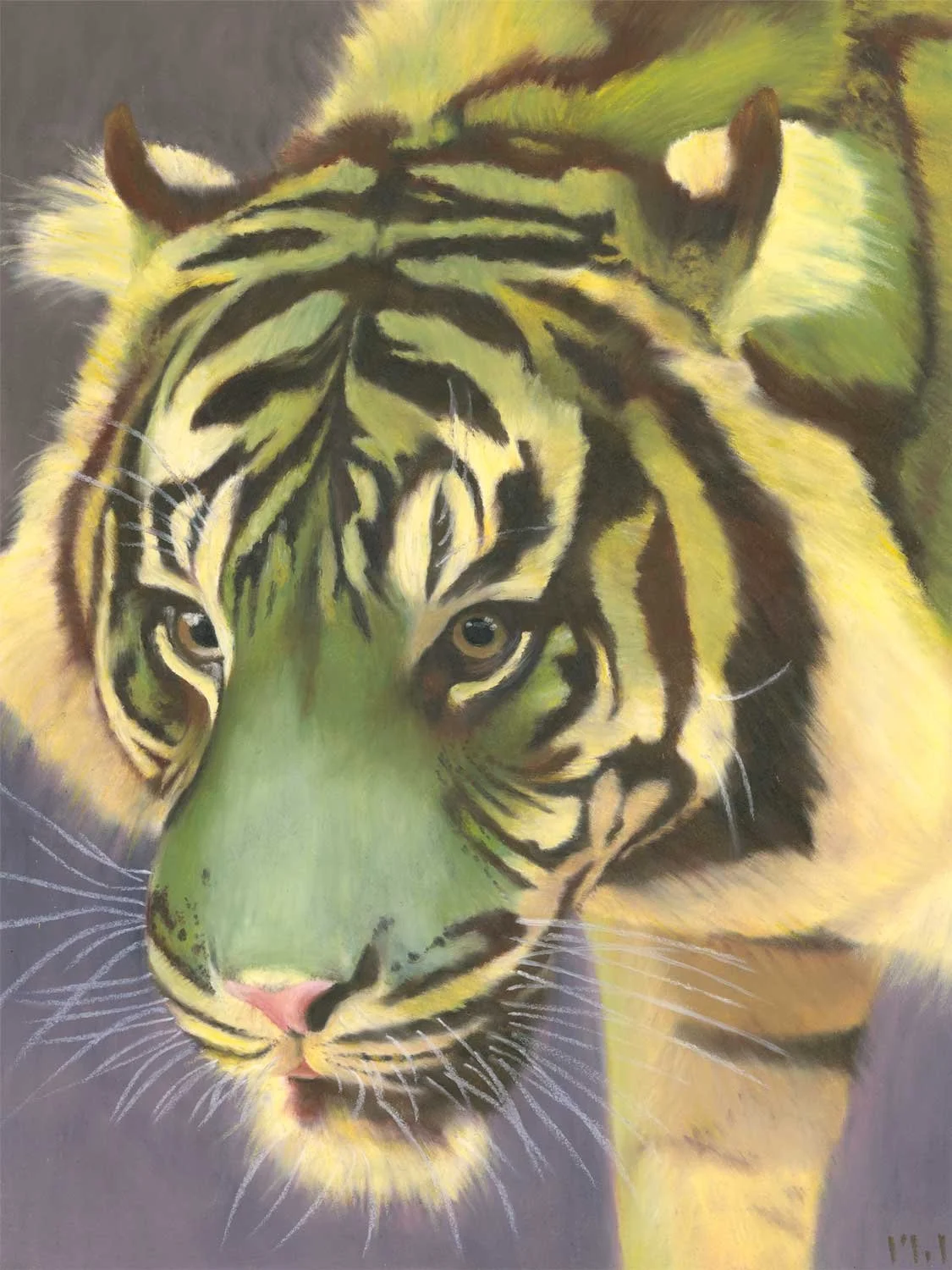 Green Tiger