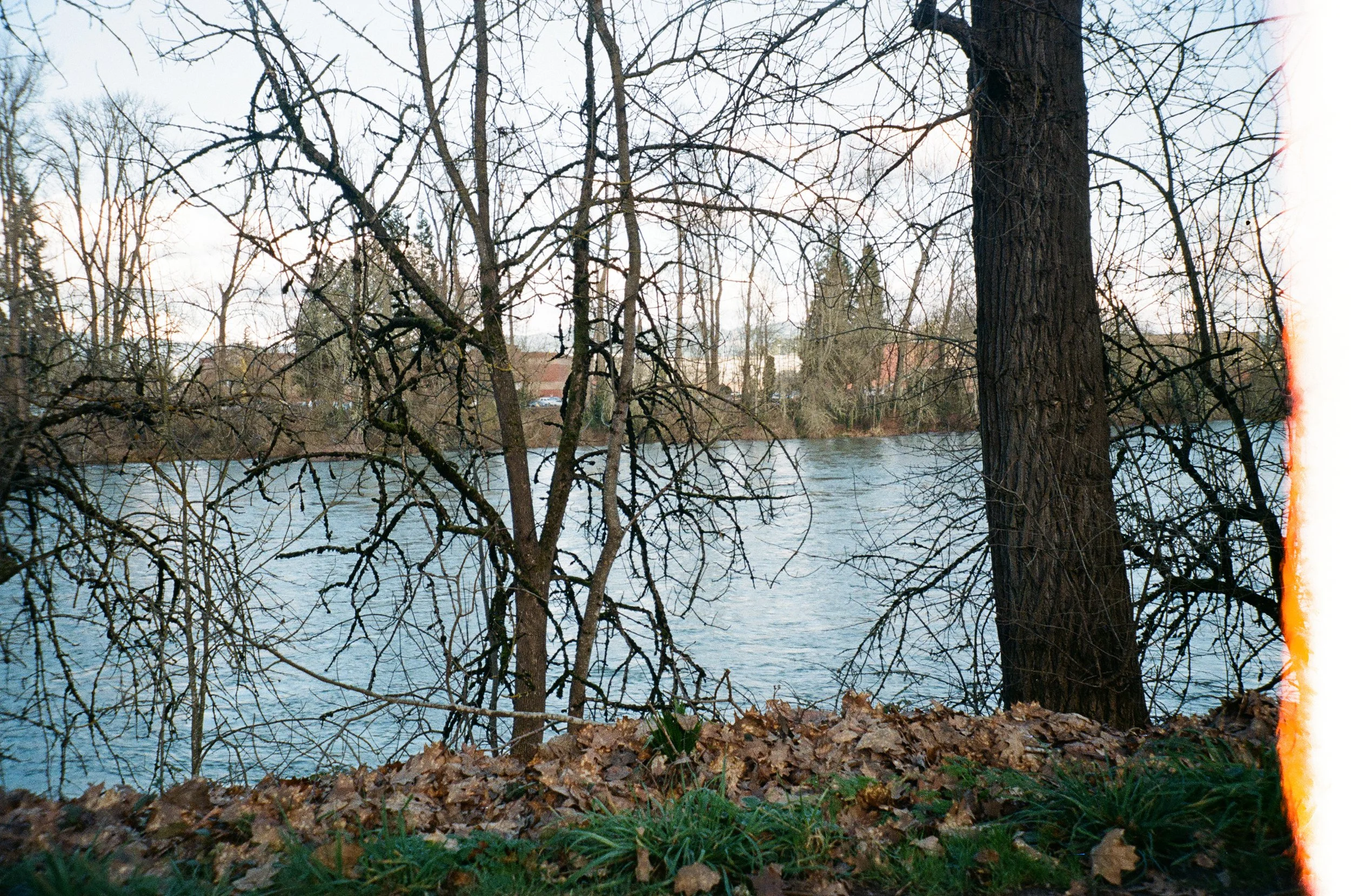 Eugene - March 2024, Kodak Portra 400