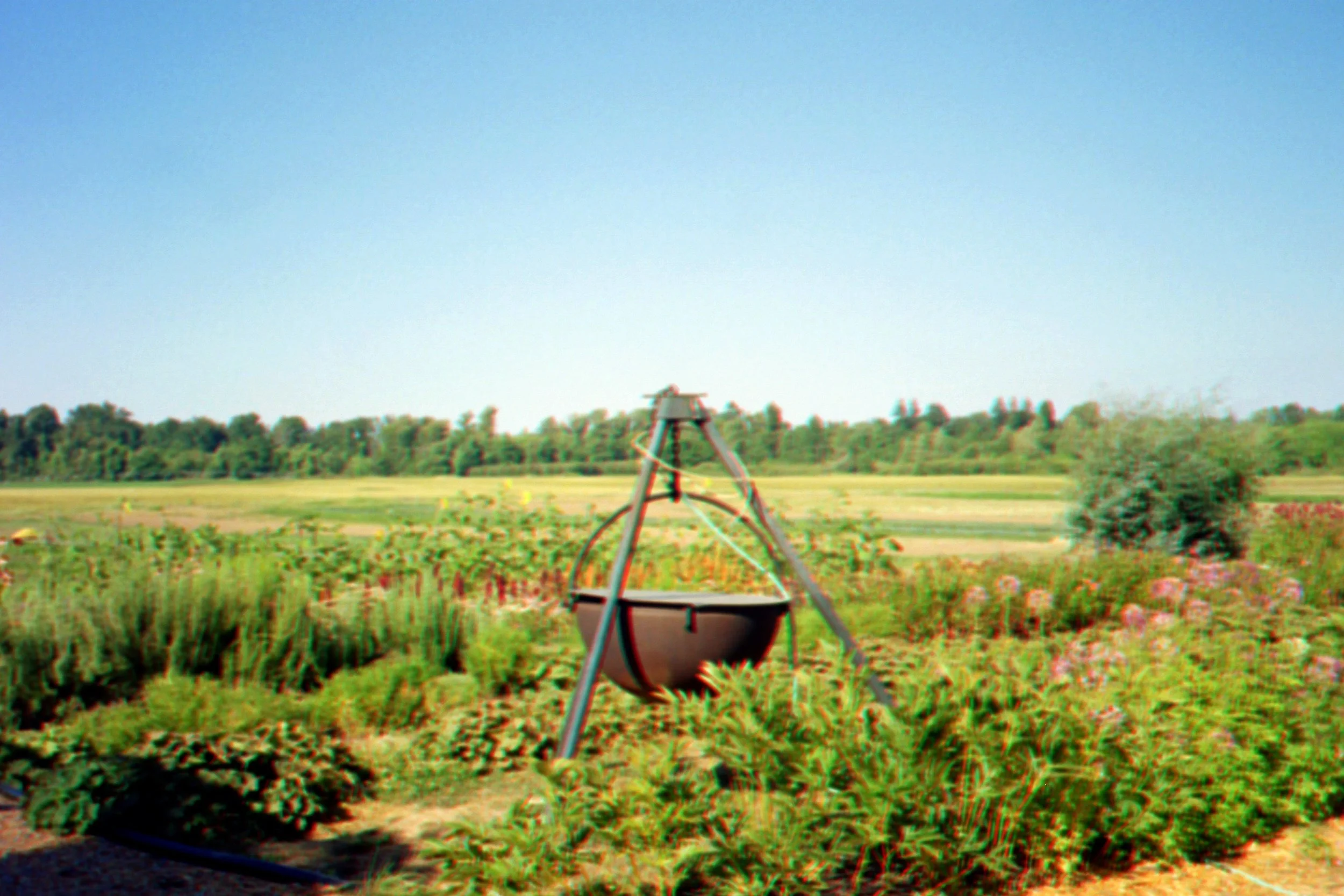 Mento Island Growers, Salem, OR - July 2023, Kodak Portra 400