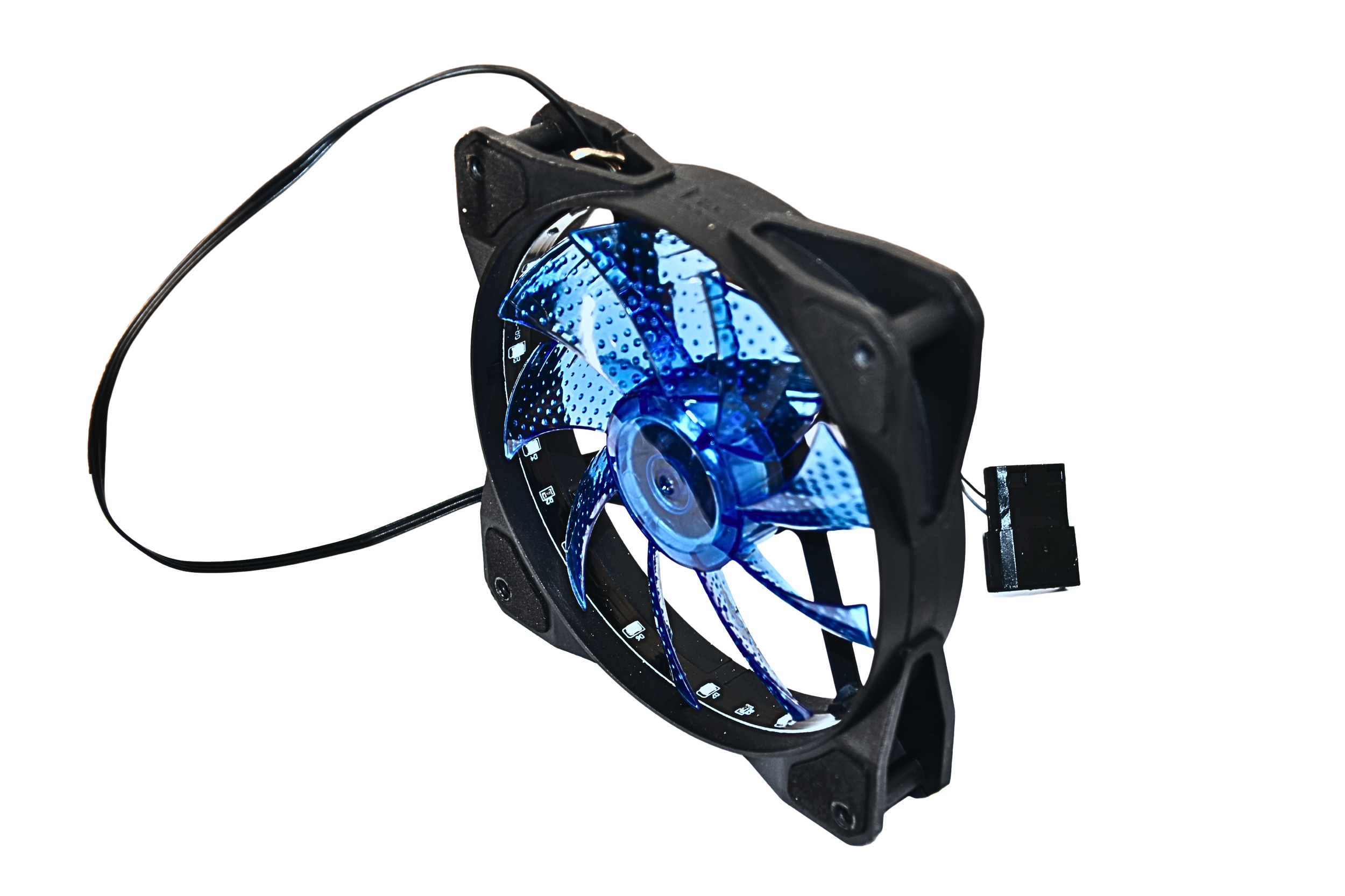 Blue Fan (profile).png