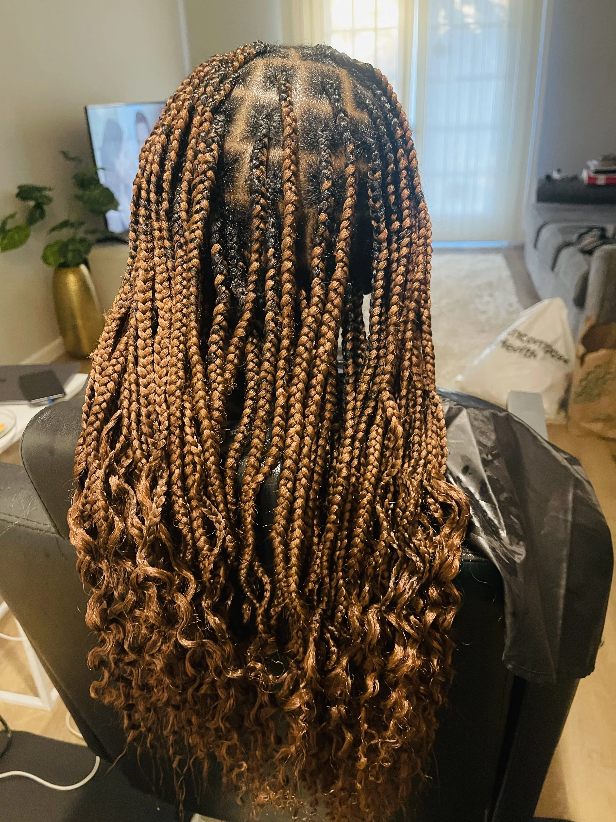 Back view of a person with long, dreadlocked hair that is styled in twists and curls, colored in shades of brown and copper.