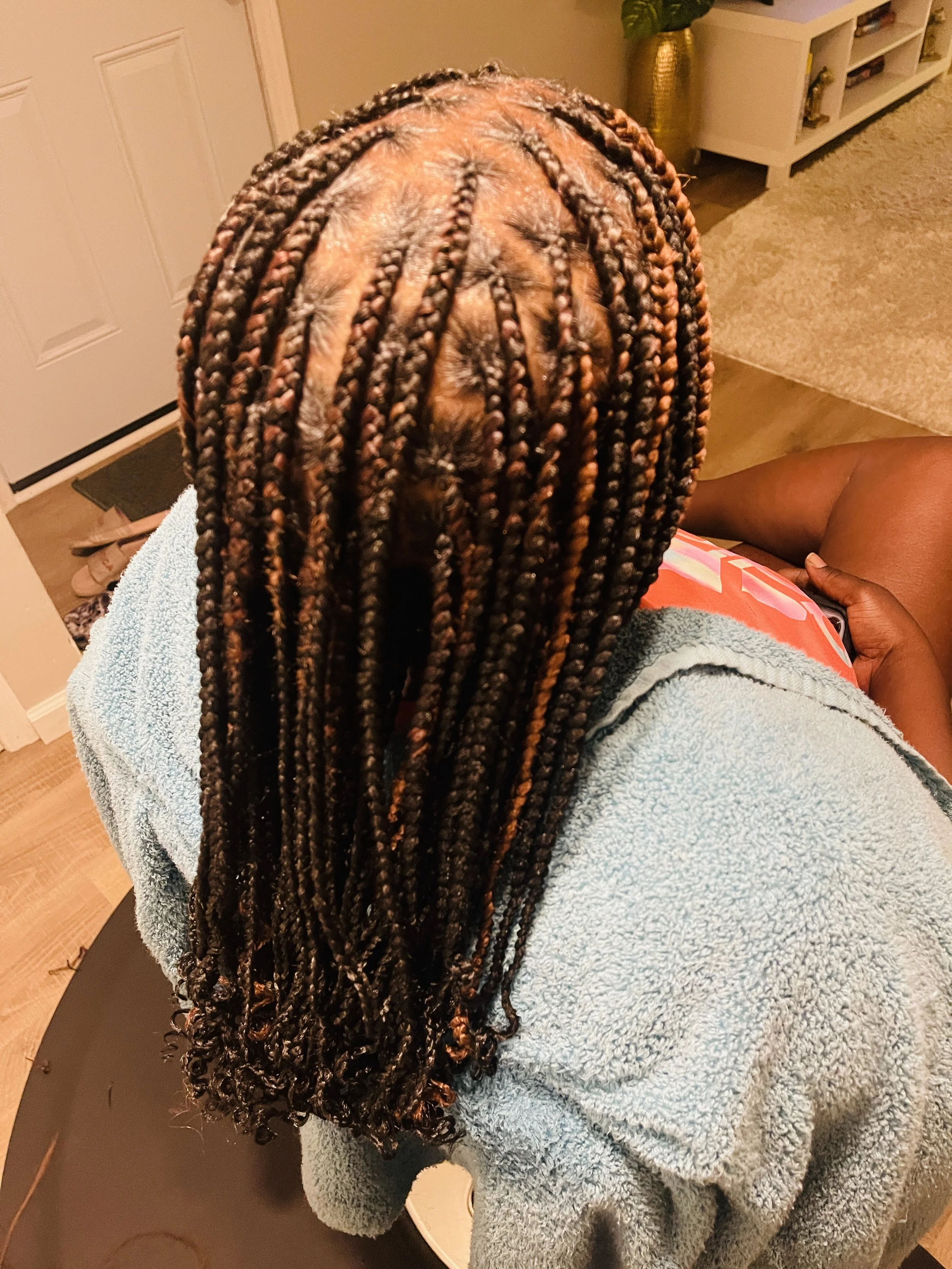 A person with long, curly, braided hair with highlights, sitting on a couch in a cozy room. Hair has a mix of dark and light brown colors.