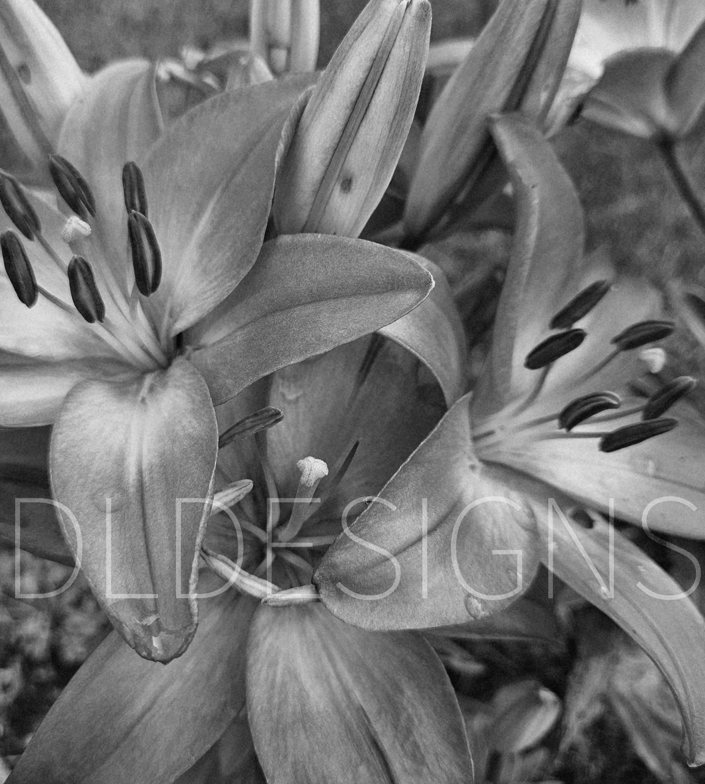 Flower R