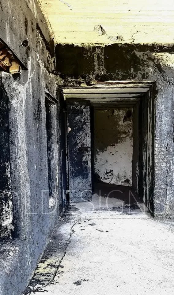 Fort Door