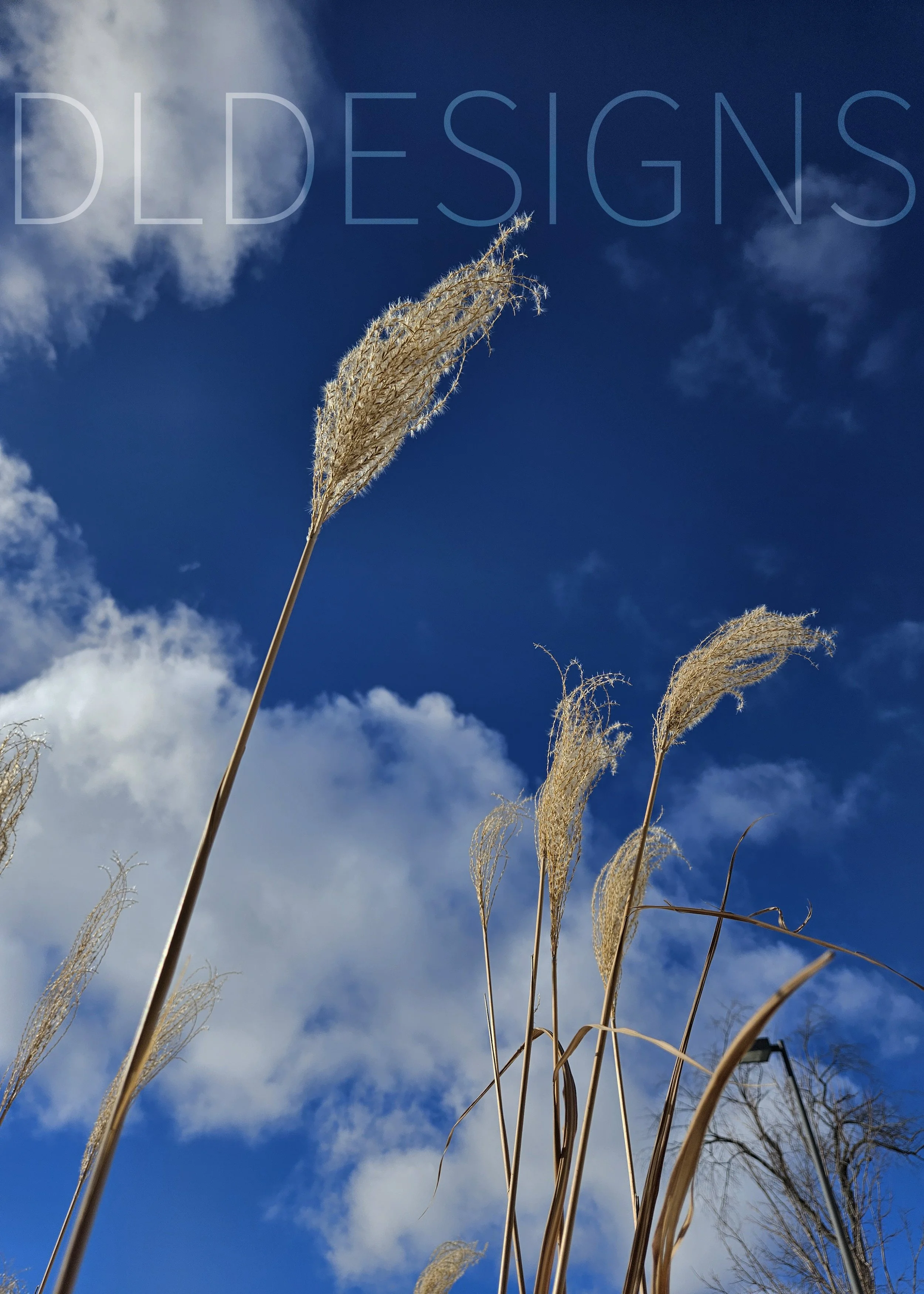 Wheat In The Sky