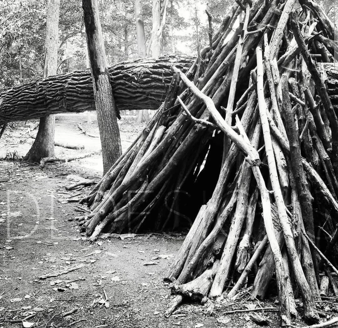 Tree Fort