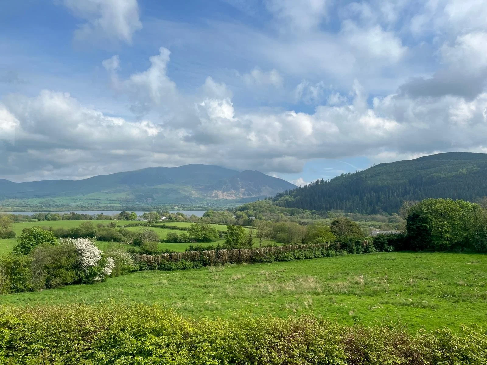East Cragg homepage 1.jpeg