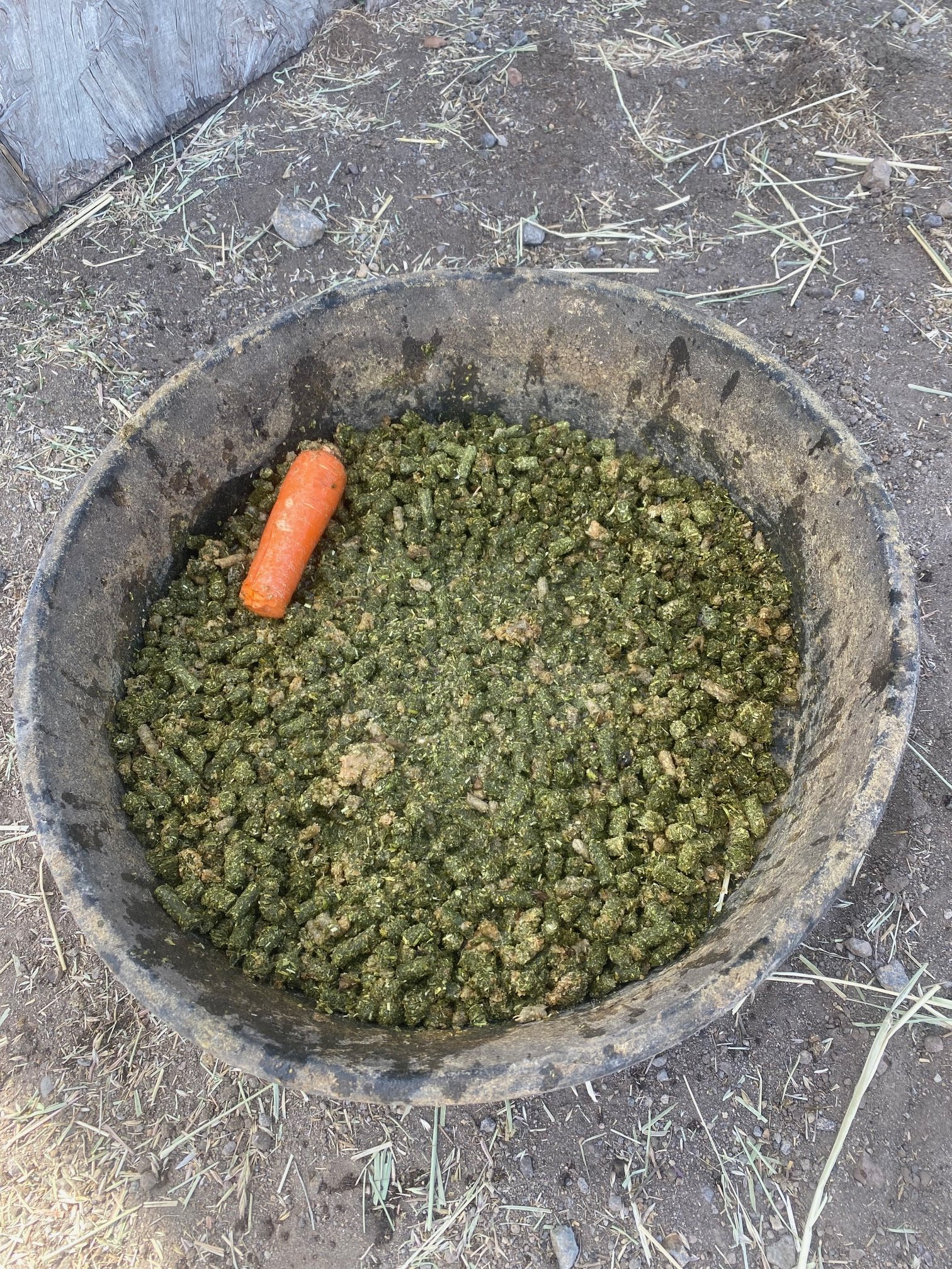 Mashy Mash