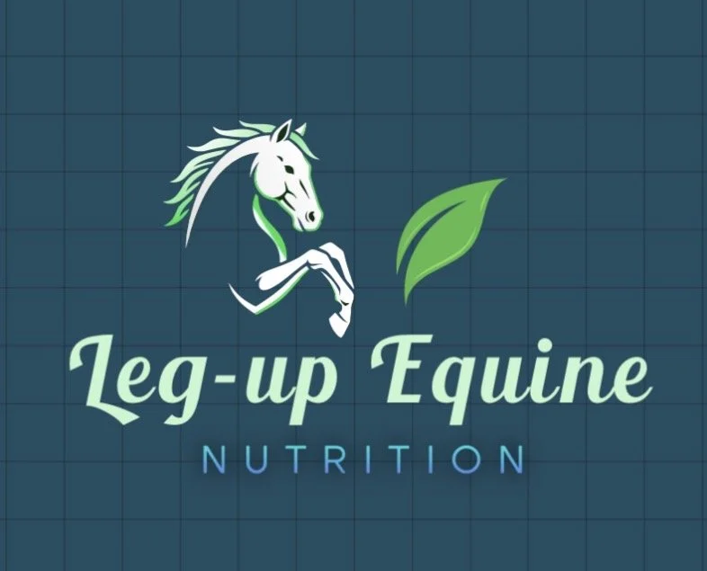 Leg-up Equine Nutrition