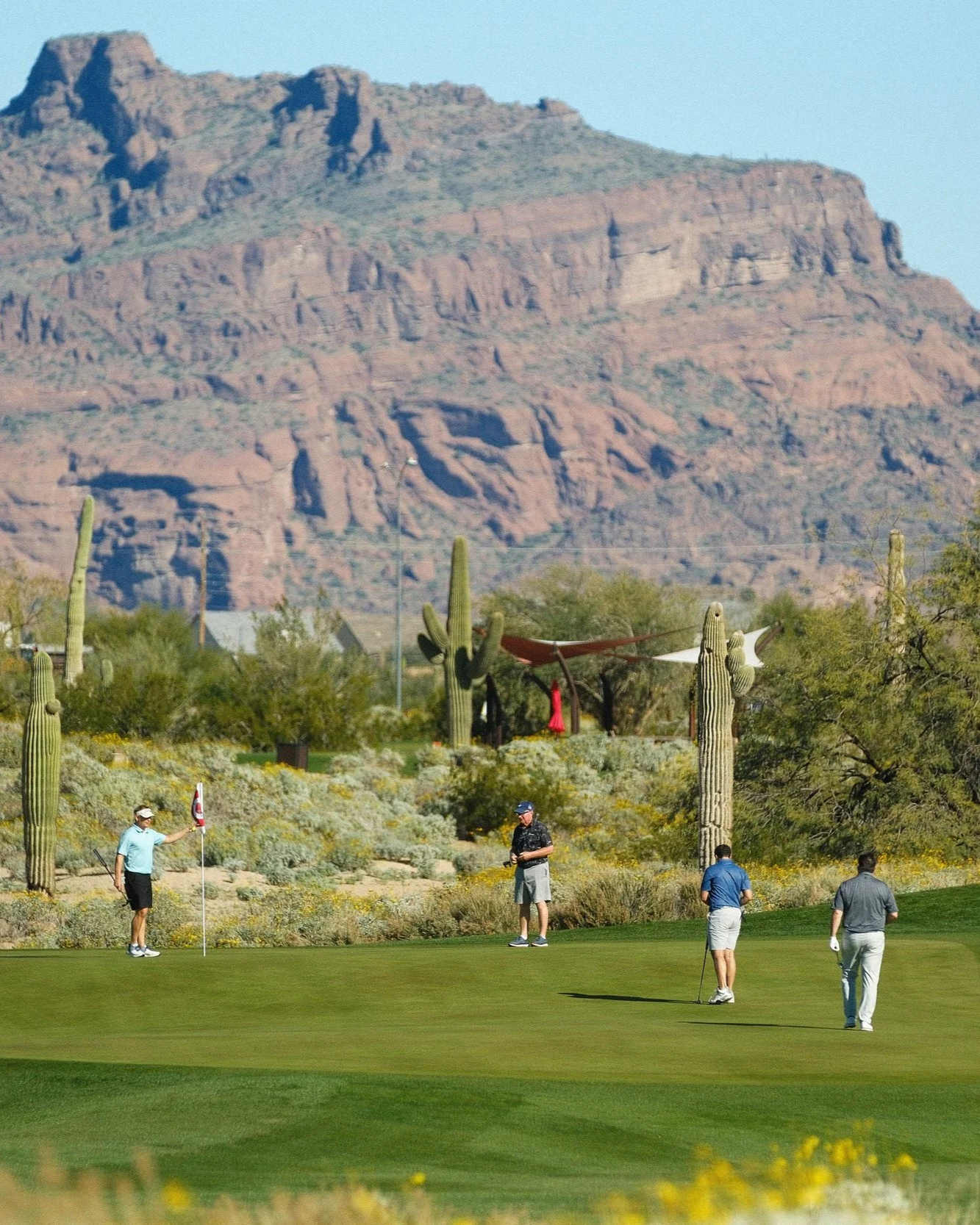 Sports, Golf Course & Landscape Content