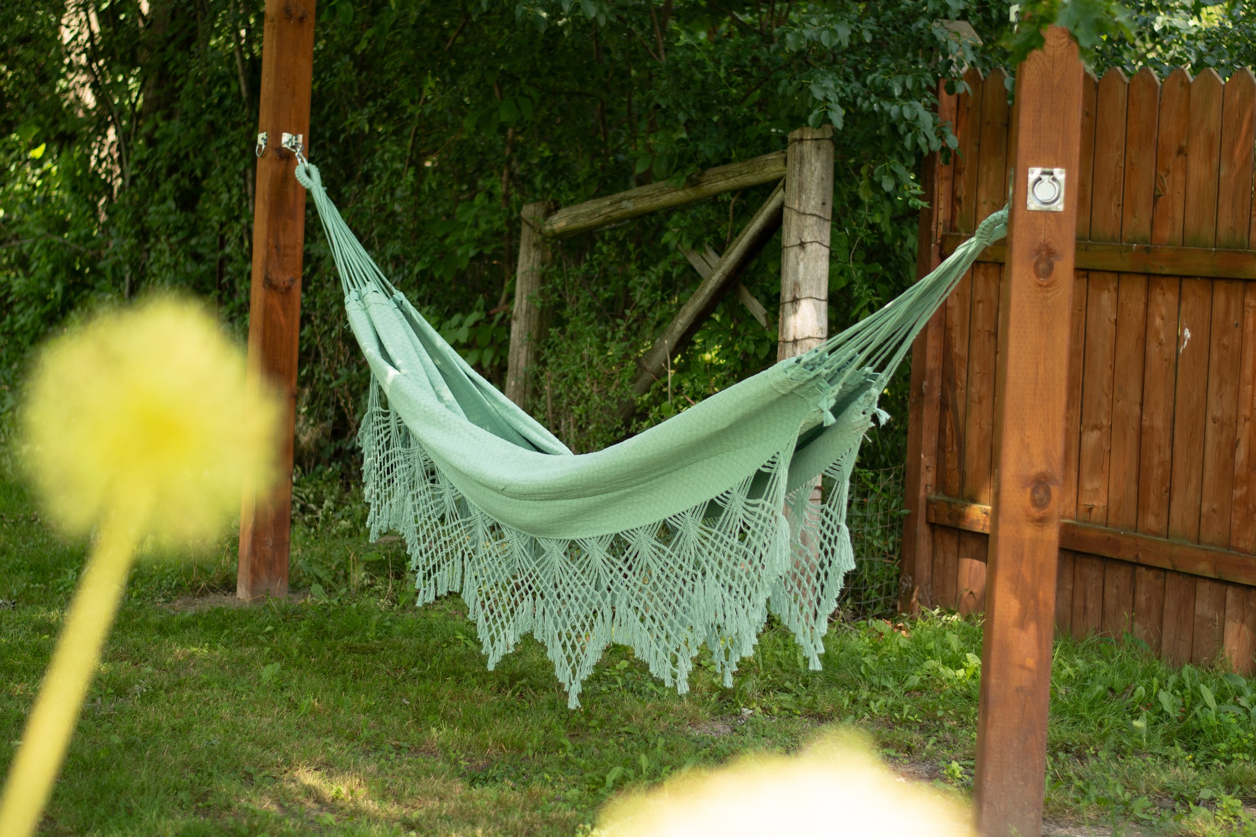 Backyard Oasis