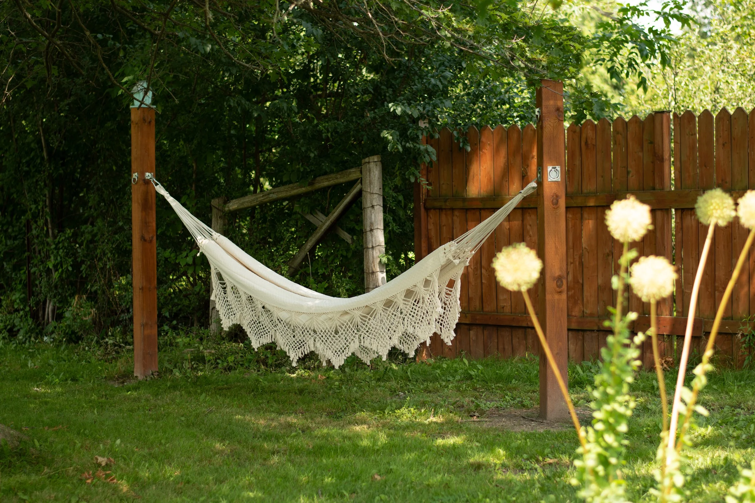 Backyard Oasis