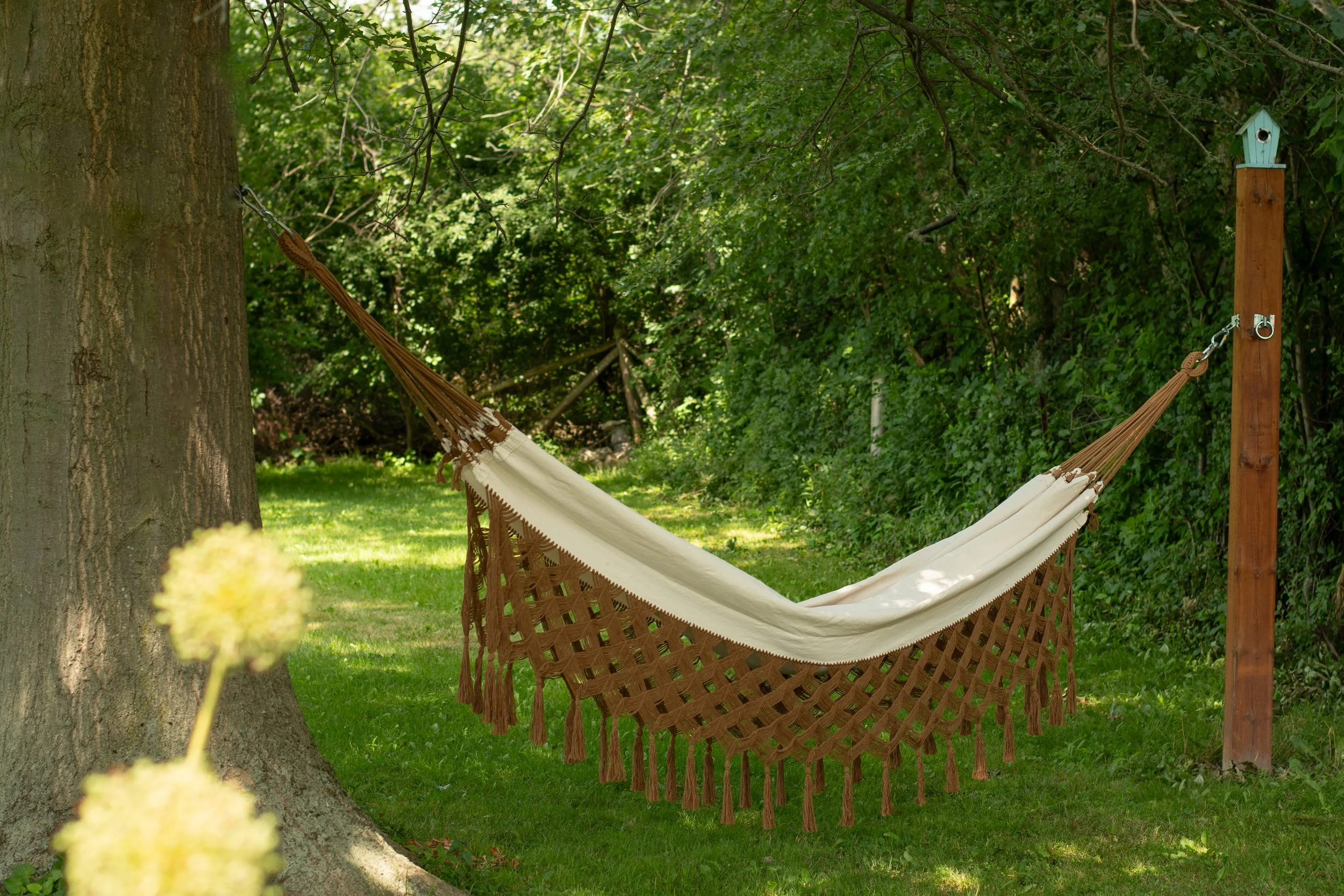 Serenity