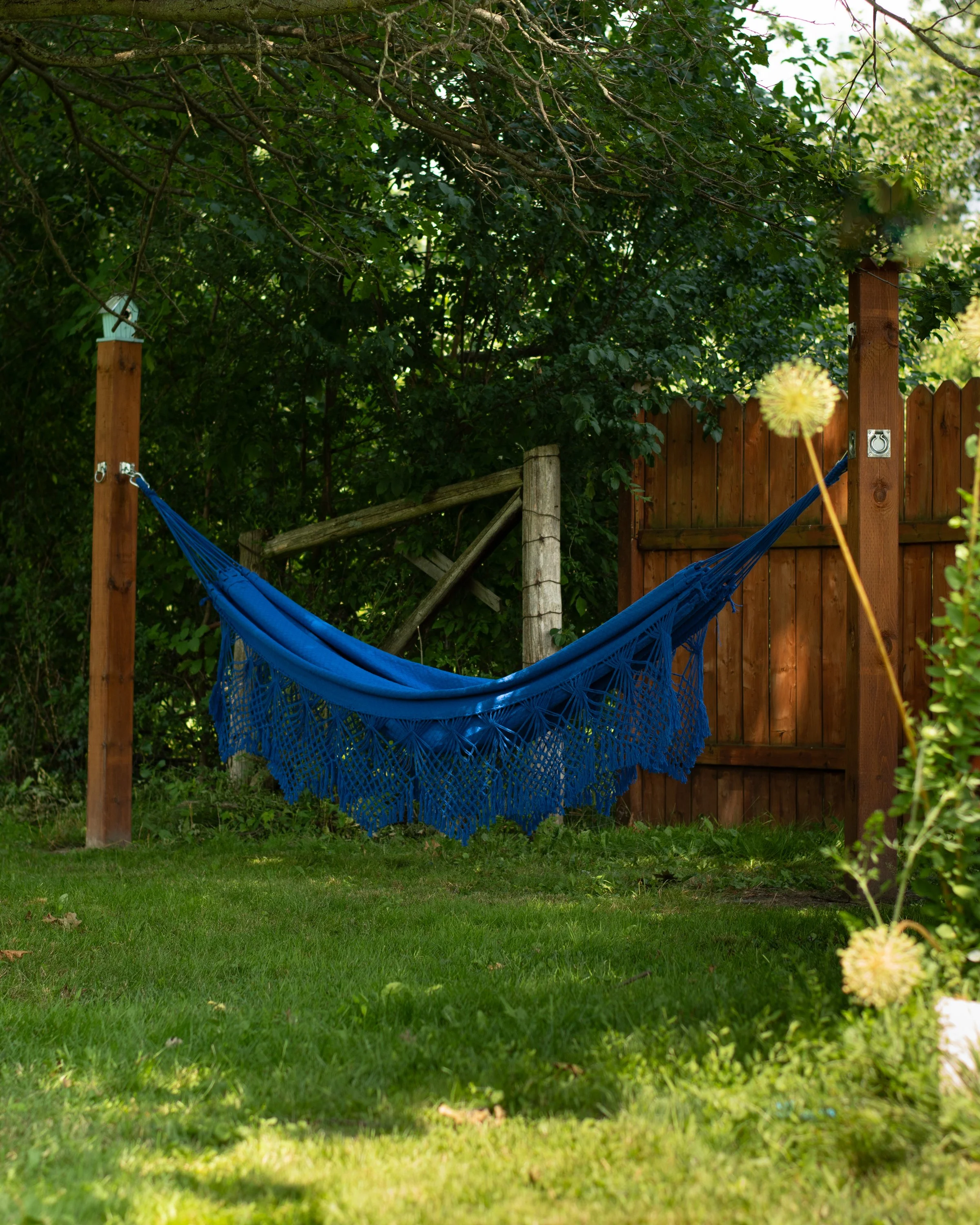 Backyard Oasis