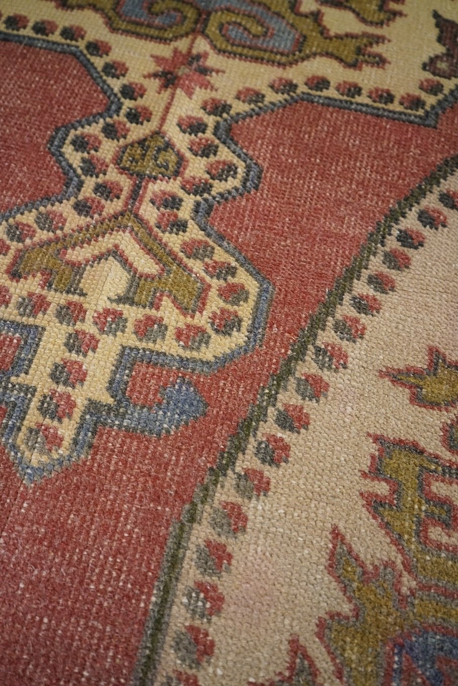 _DSC2185.jpeg