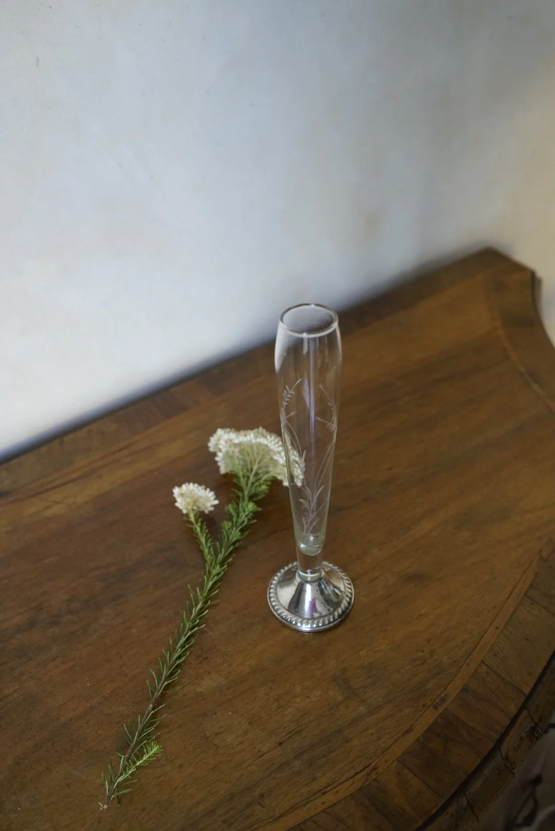 _DSC1072.jpeg