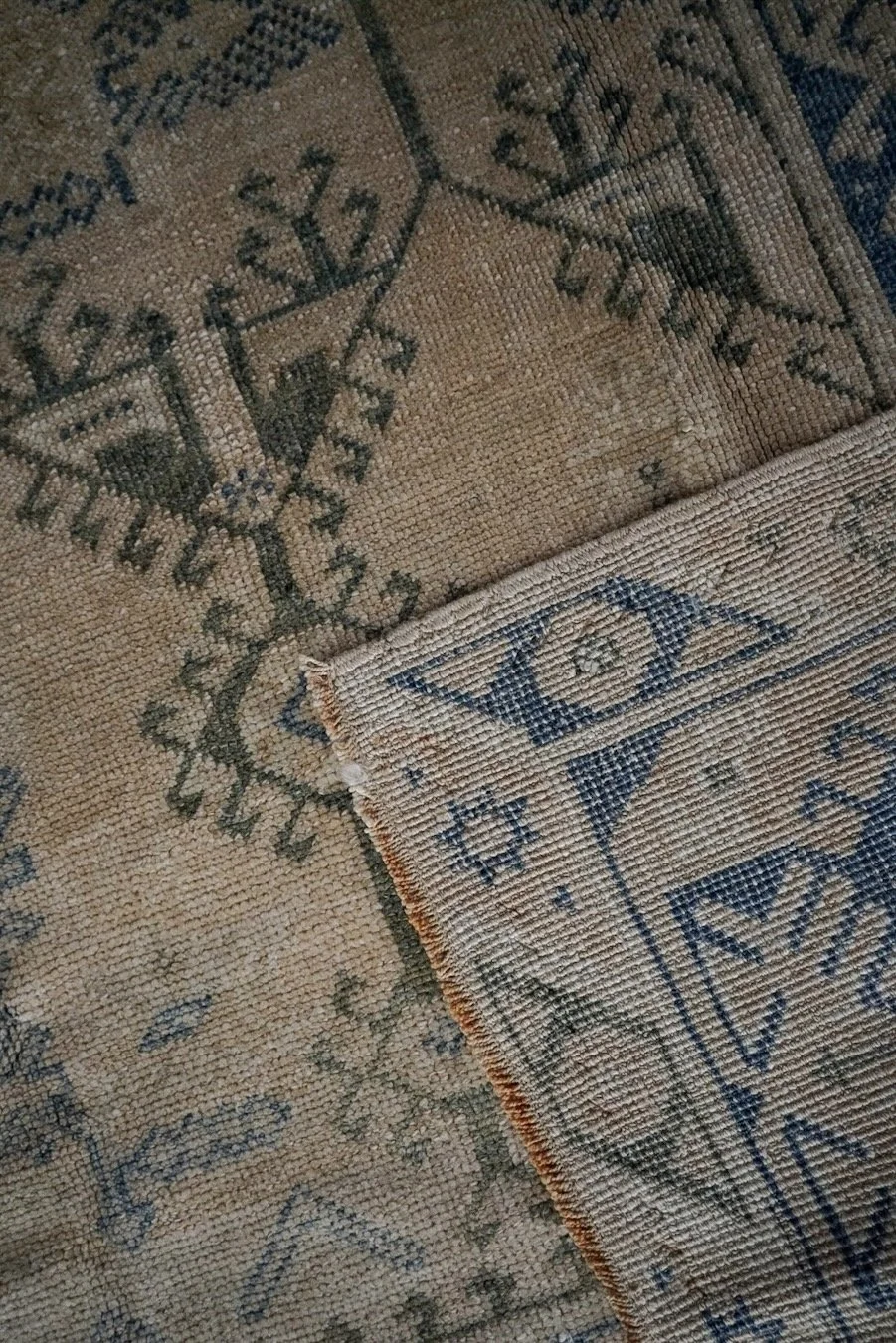 _DSC2213.jpeg