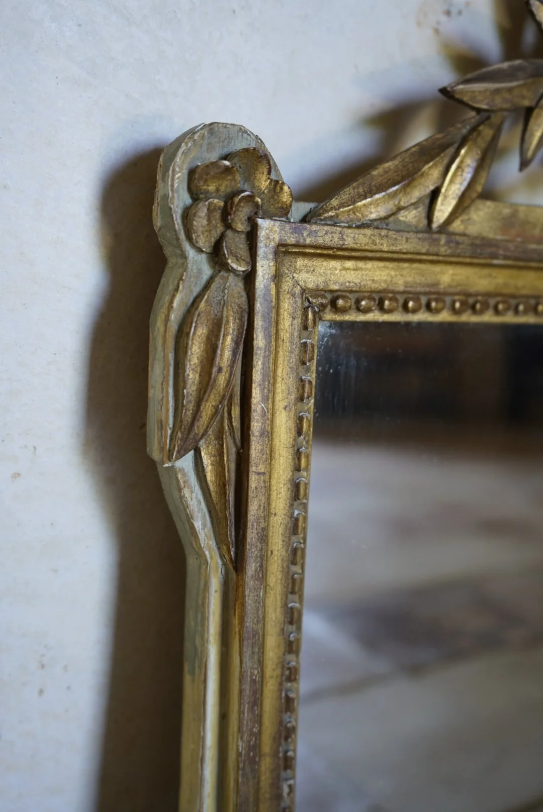 _DSC1222.jpeg