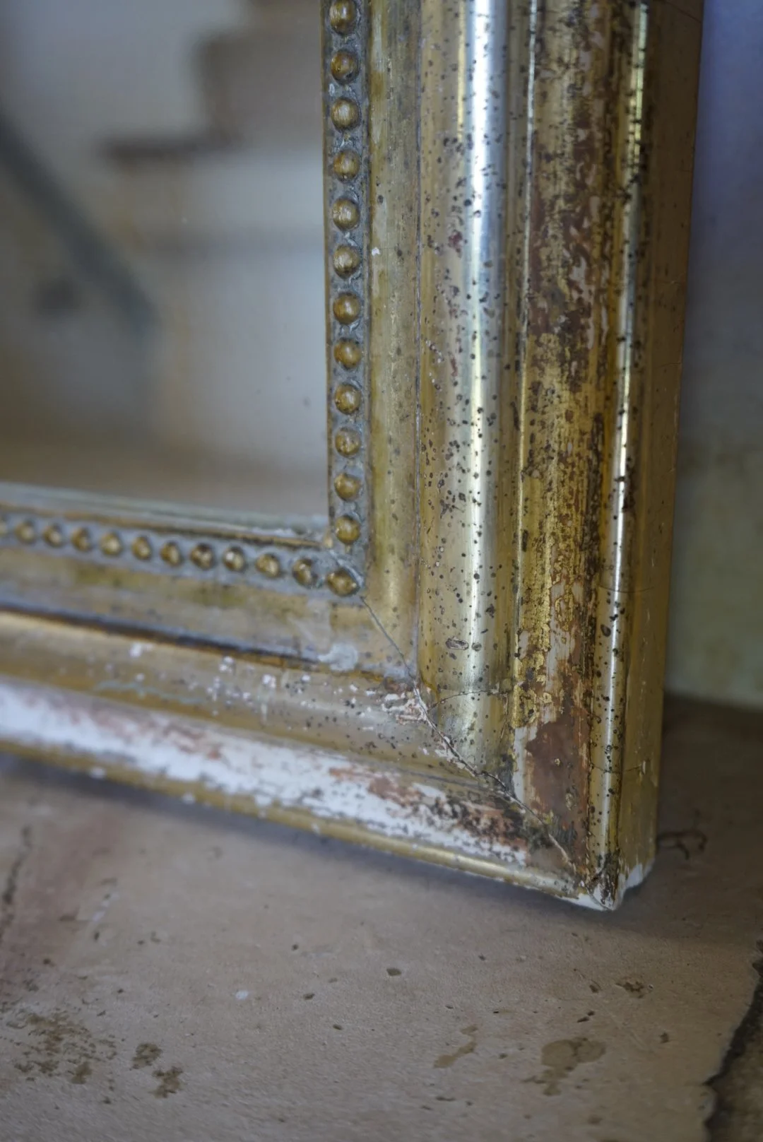 _DSC1568.jpeg