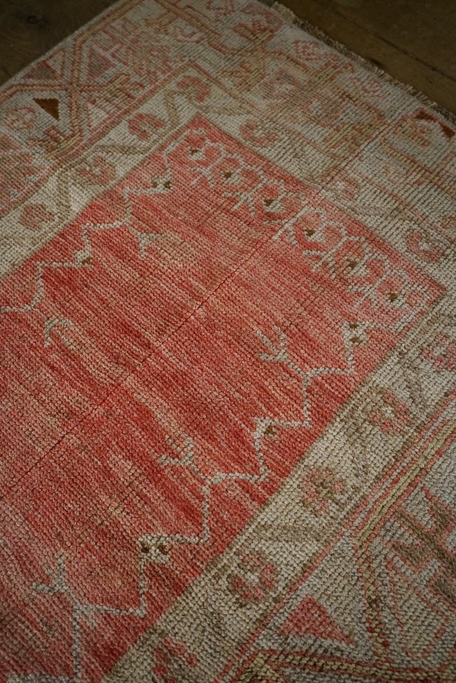 _DSC2198.jpeg
