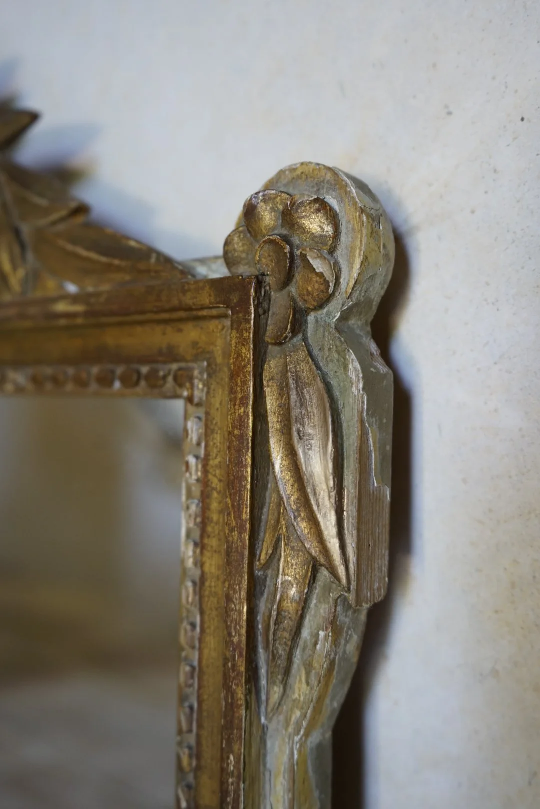 _DSC1225.jpeg