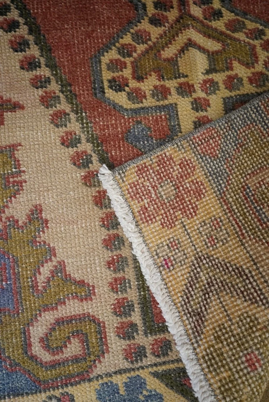 _DSC2186.jpeg
