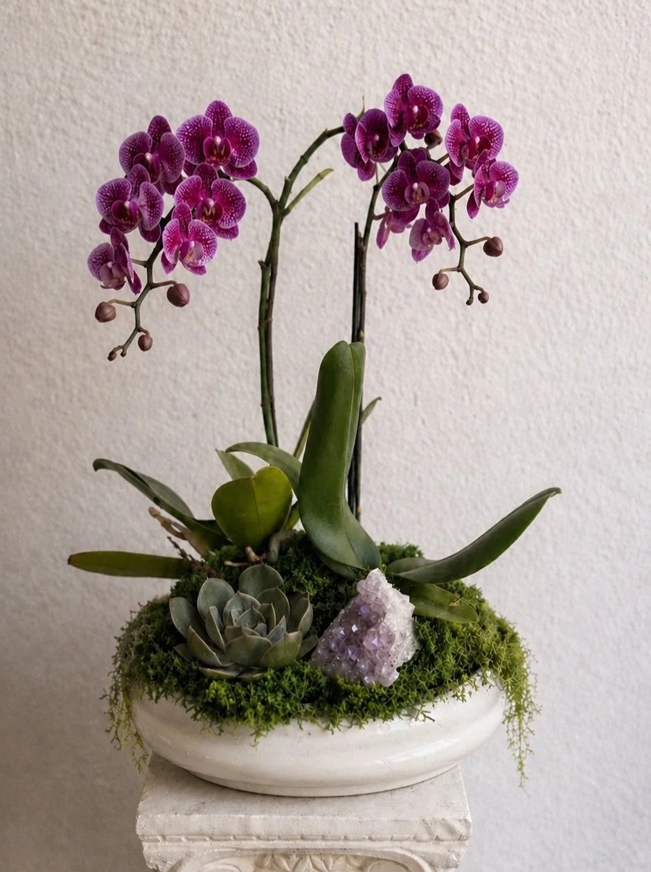 Austin floral