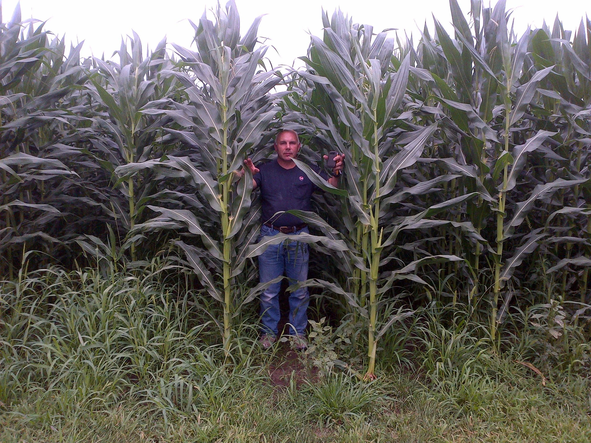 Glenn in corn field