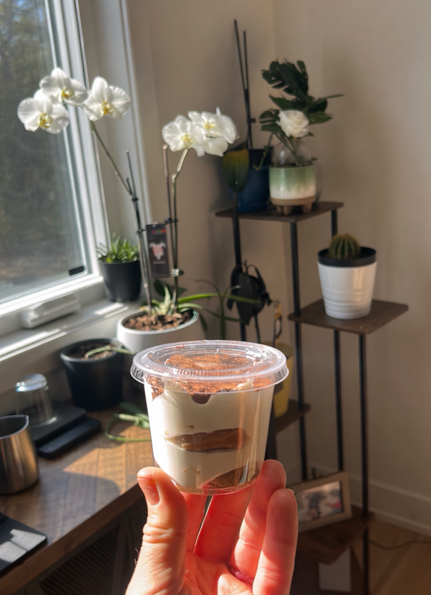 Hand holding a cup of layered dessert or parfait with cream and chocolate, near a window with orchids and potted plants in the background.
