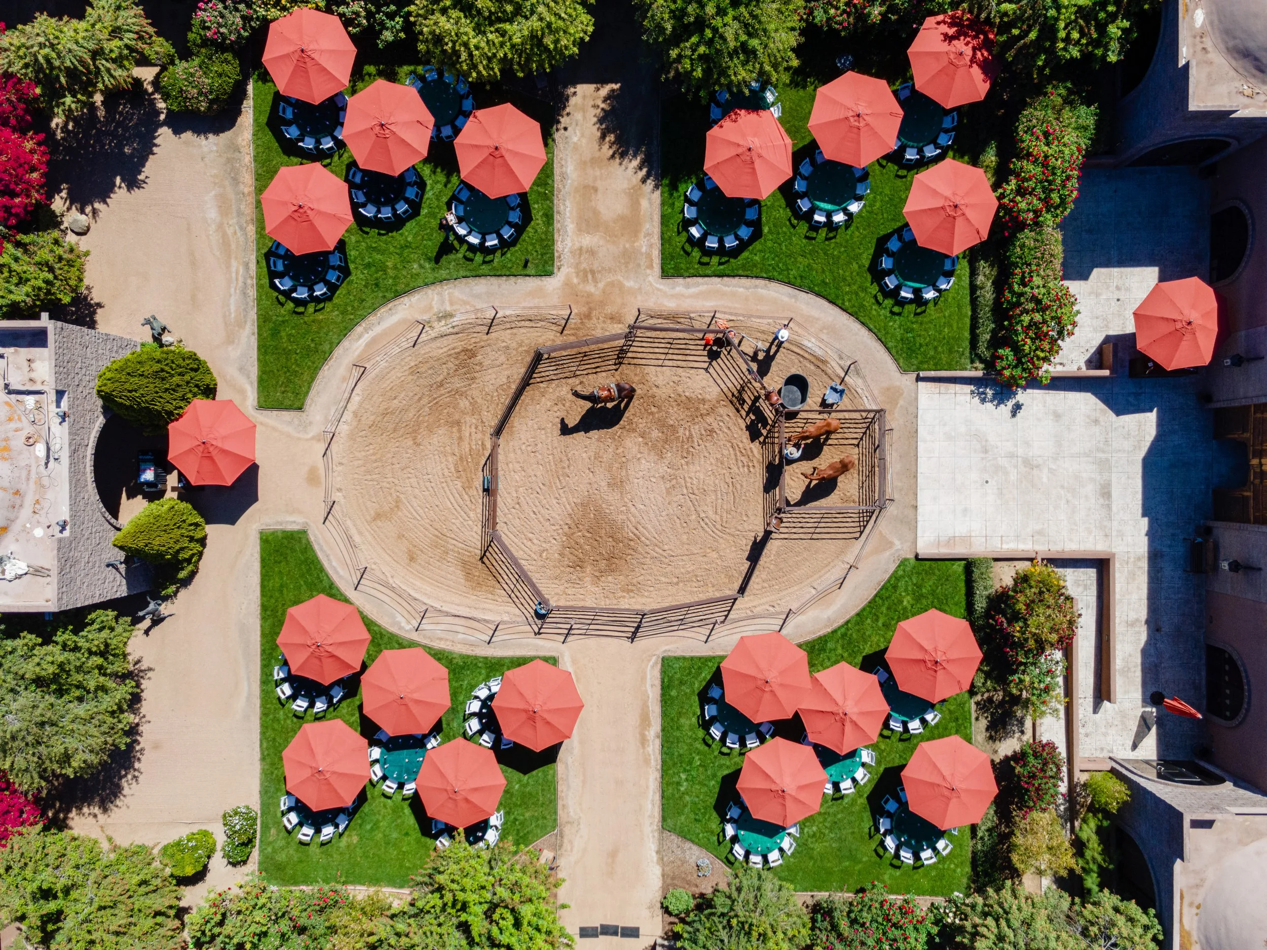 DJI_0442.jpg