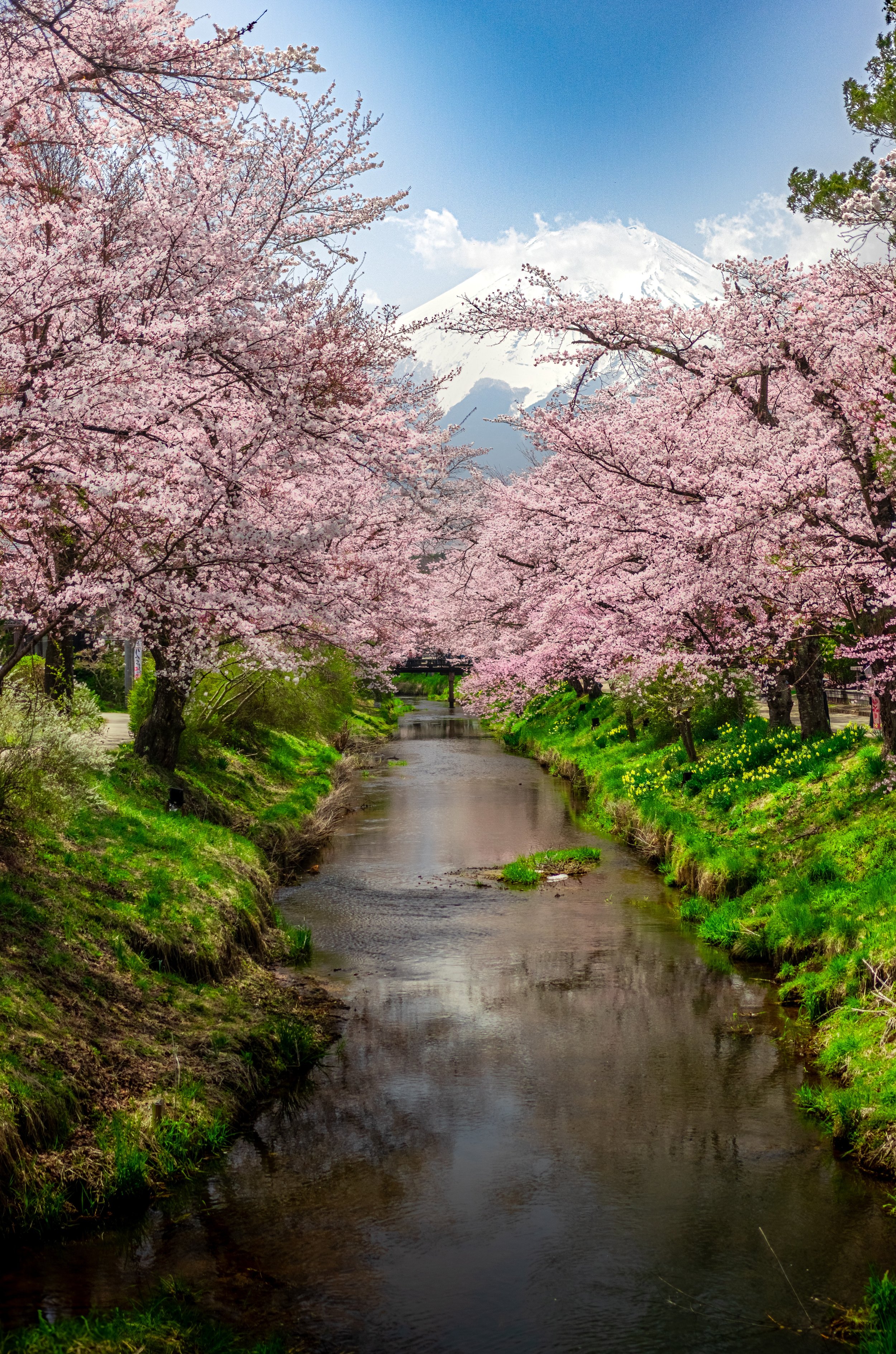 JapanTrip2025-38.jpg