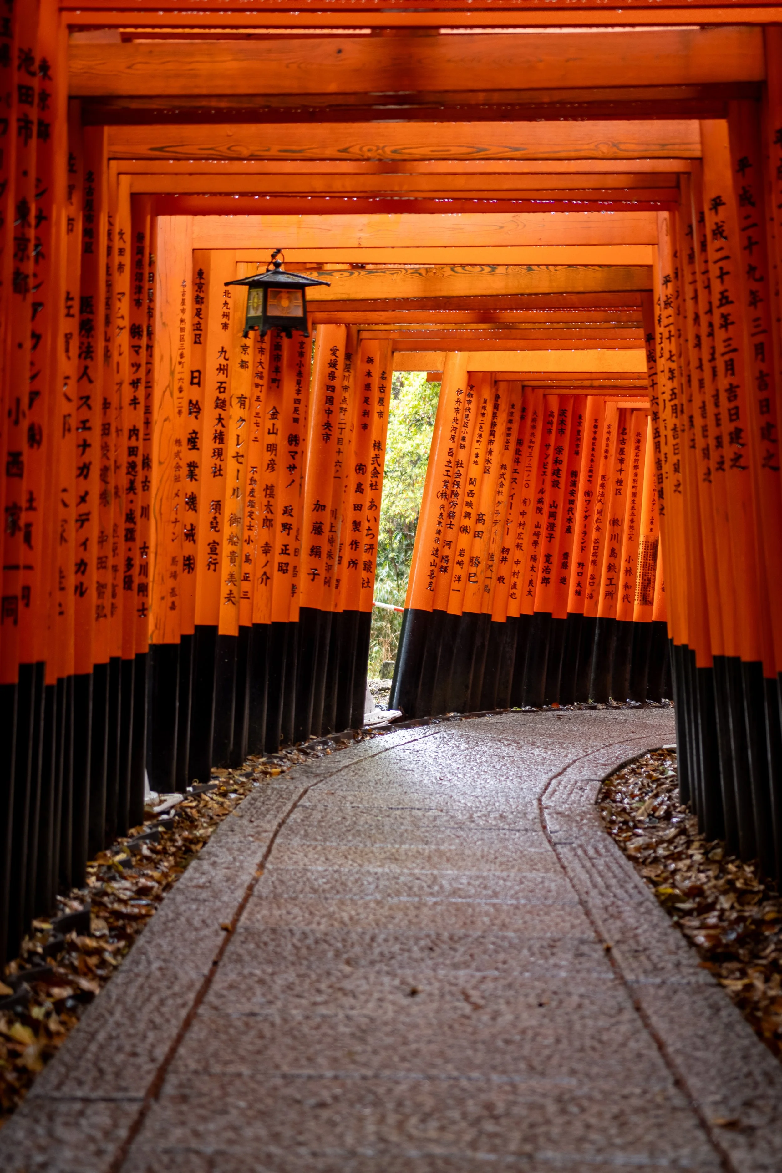 JapanTrip2025-31.jpg