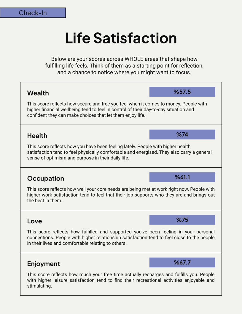 Sample CoreWise report page showing life satisfaction scores across the five WHOLE domains: Wealth, Health, Occupation, Love, and Enjoyment
